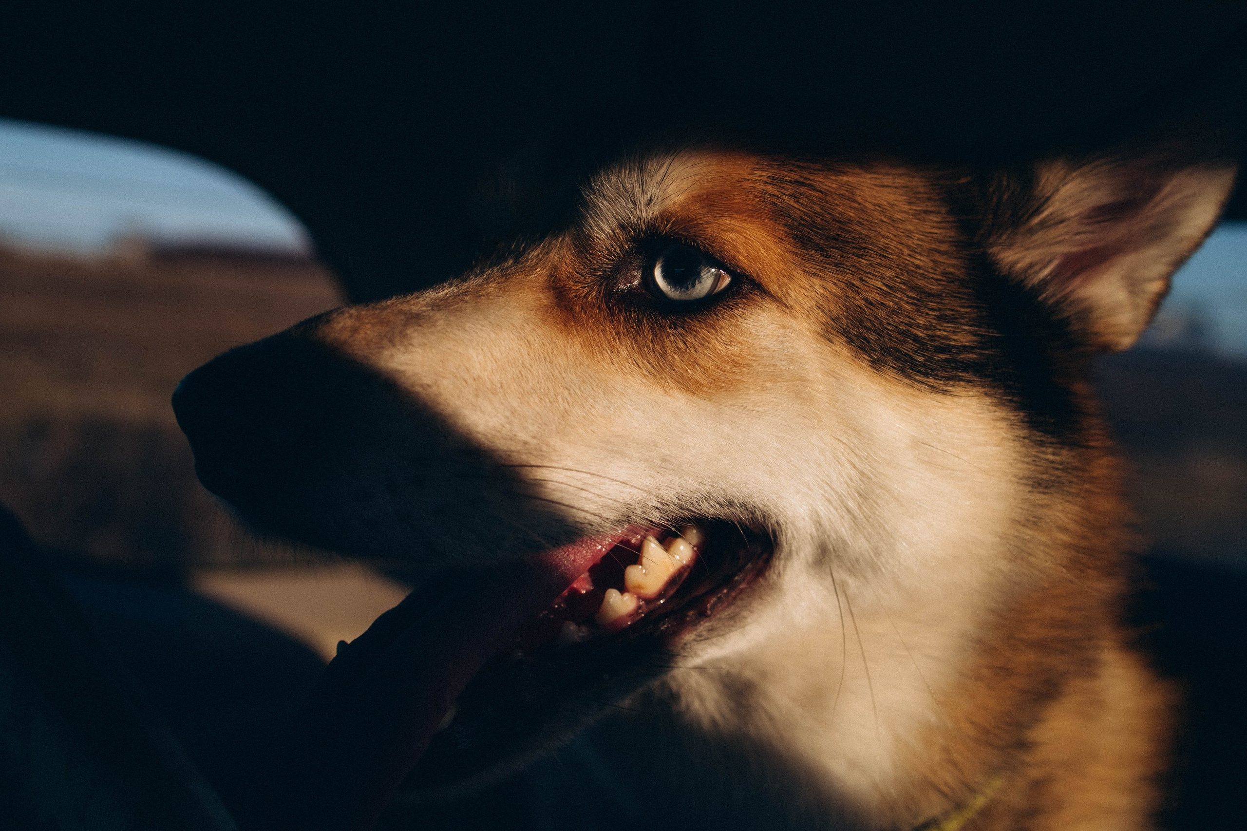 Анастасия и Читос. Фотограф Виктория Куприянова