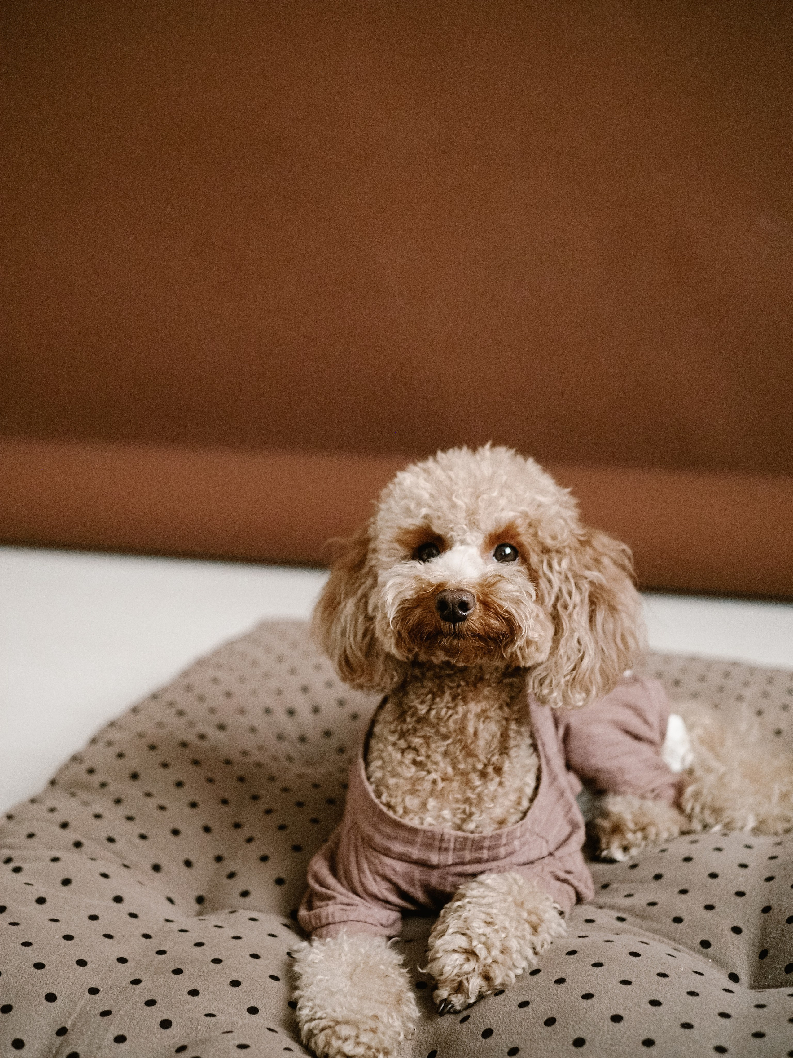 Вся семья и самый главный. Фотограф Рязань. Семейный Свадебный фотограф