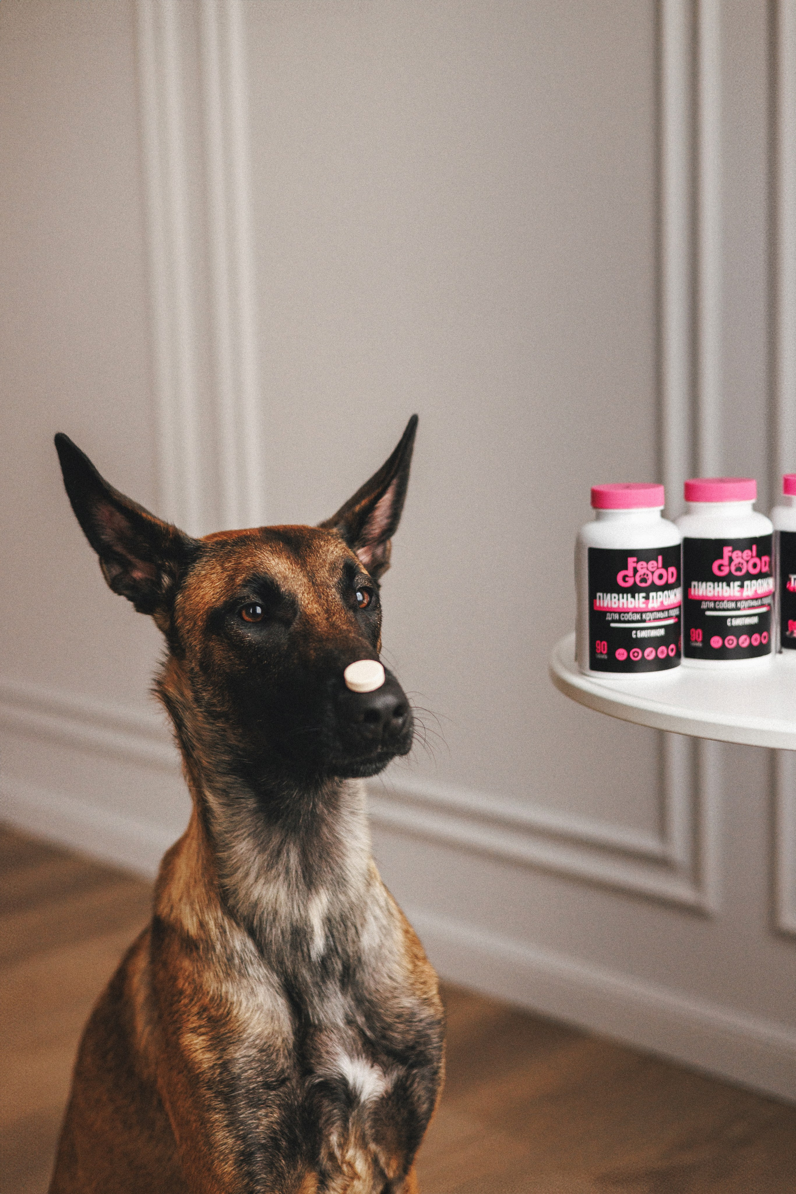 Товары для питомцев M-Pets & Petbiology. Фотограф анималист Осипчикова Мария