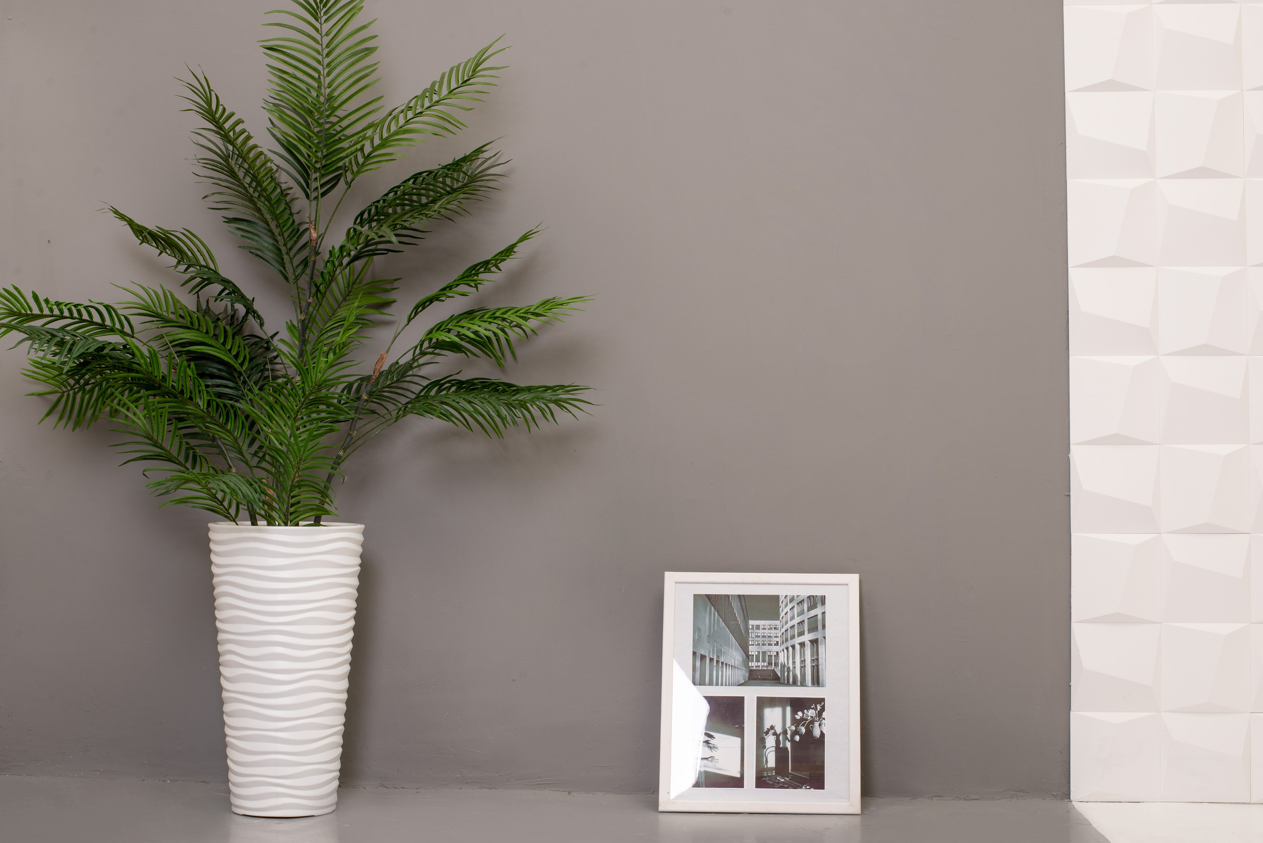 Главная. Фотостудия для маркетплейсов TM-lab