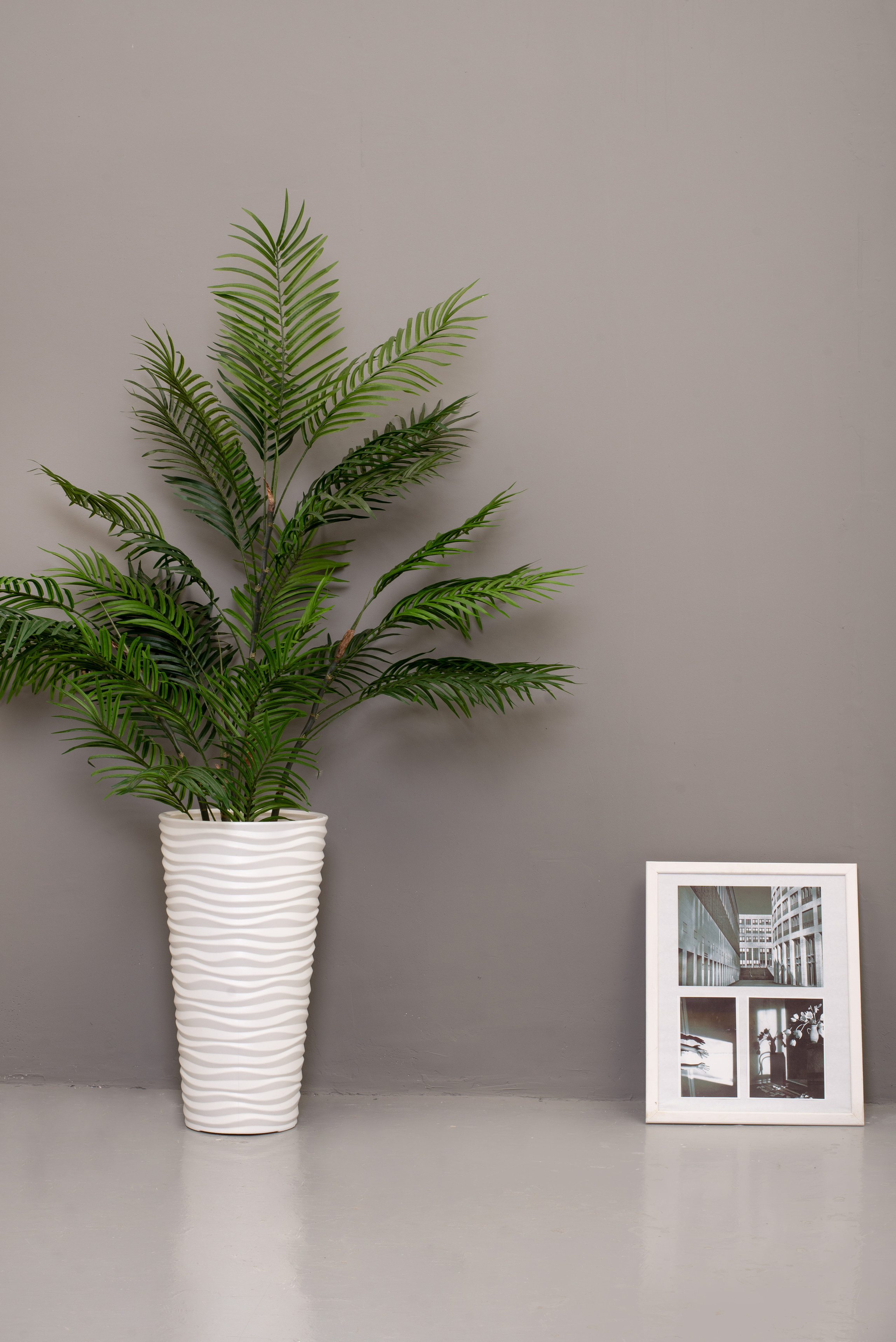 Главная. Фотостудия для маркетплейсов TM-lab