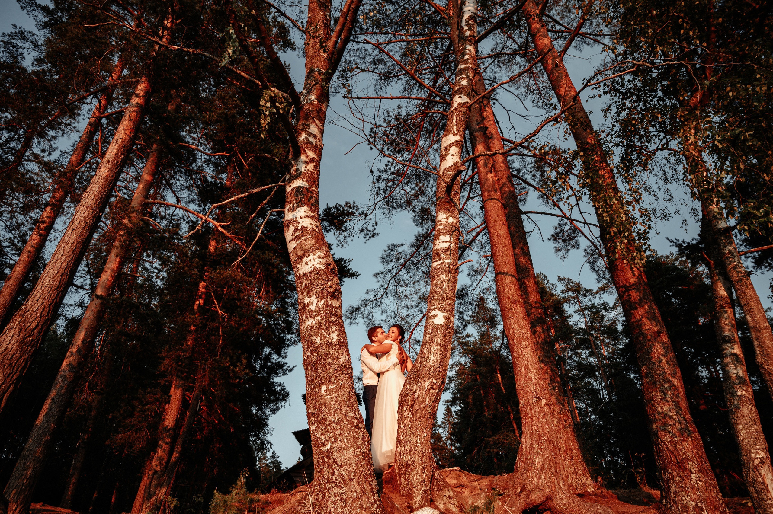 Елена и Максим. Свадебный фотограф в Спб Сергей Баланян