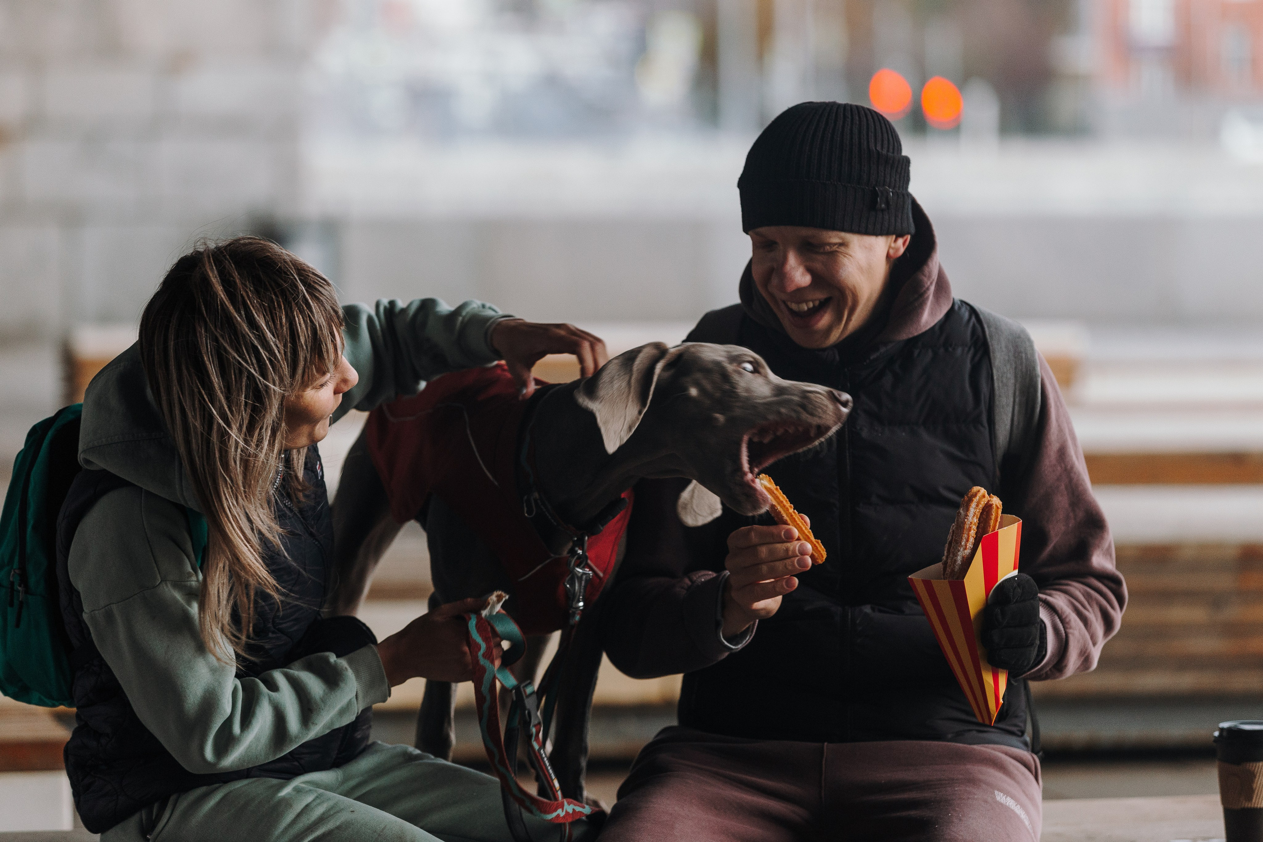 Оля, Саша и Бастиан. Фотограф анималист Кристина Карпова, Москва