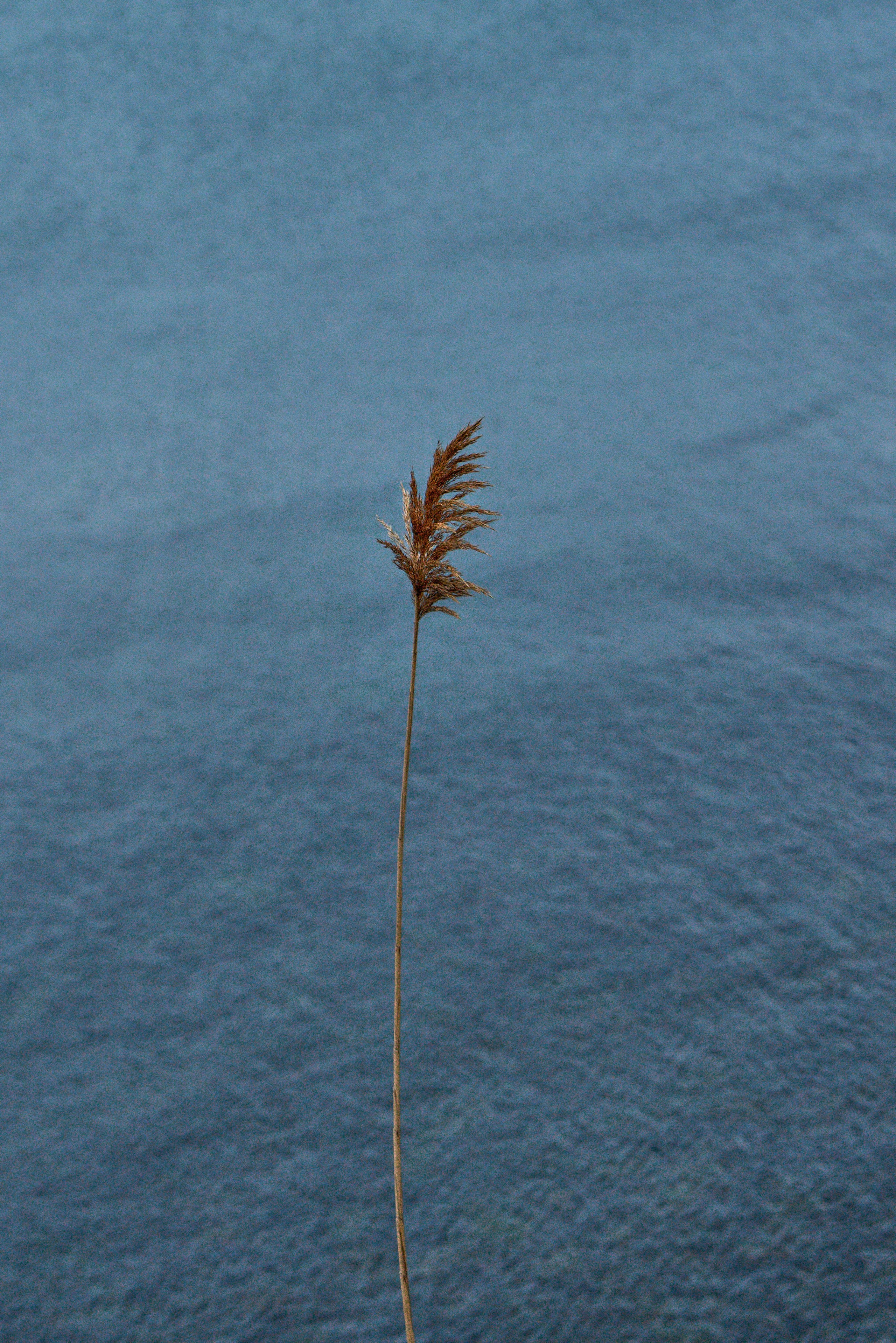 Цветные фотографии Анапы. Профессиональный фотограф в Анапе Артем Ковальский