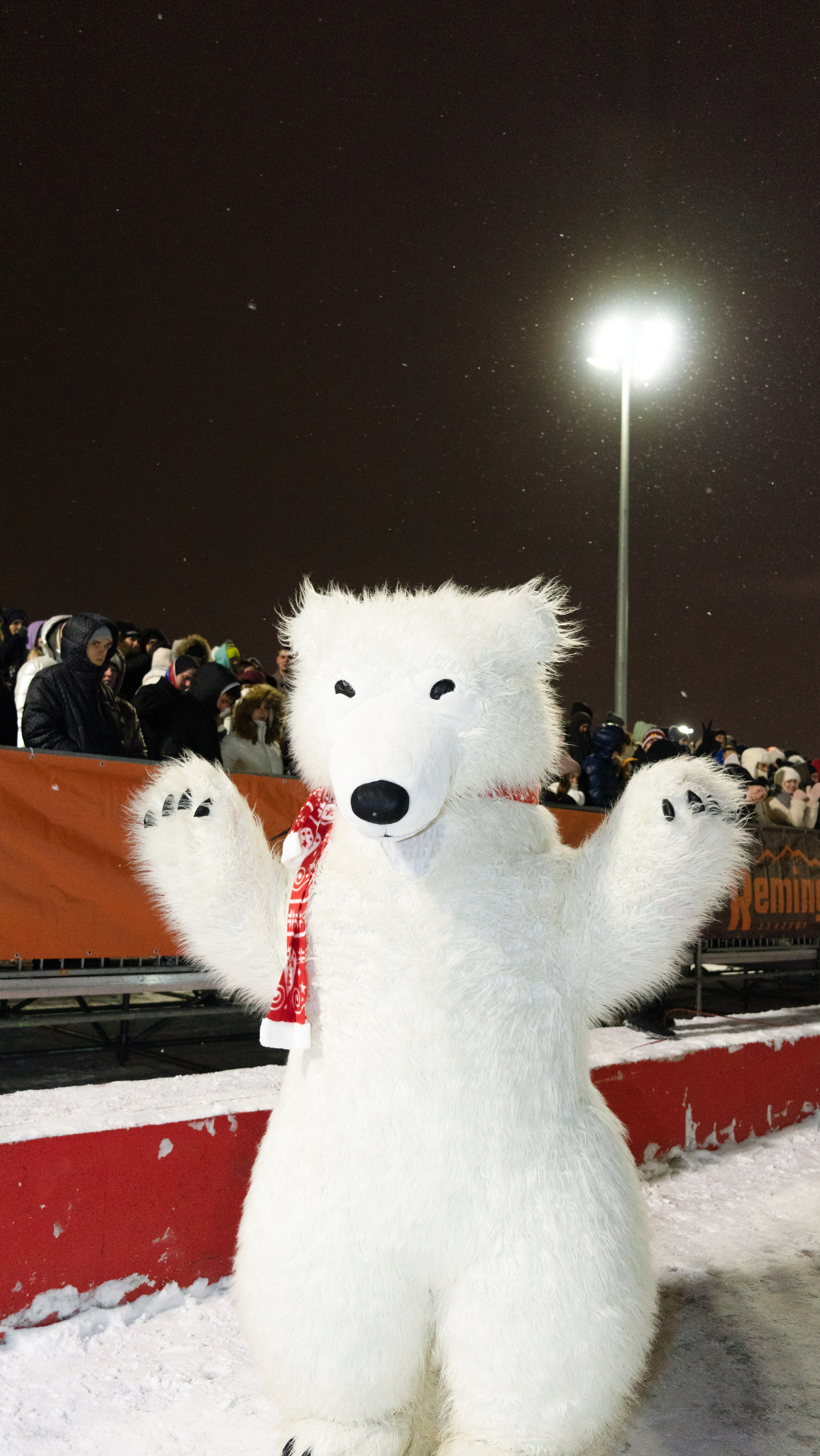 СТУЛЬЧИКИ. ART фотограф NBIRDIE