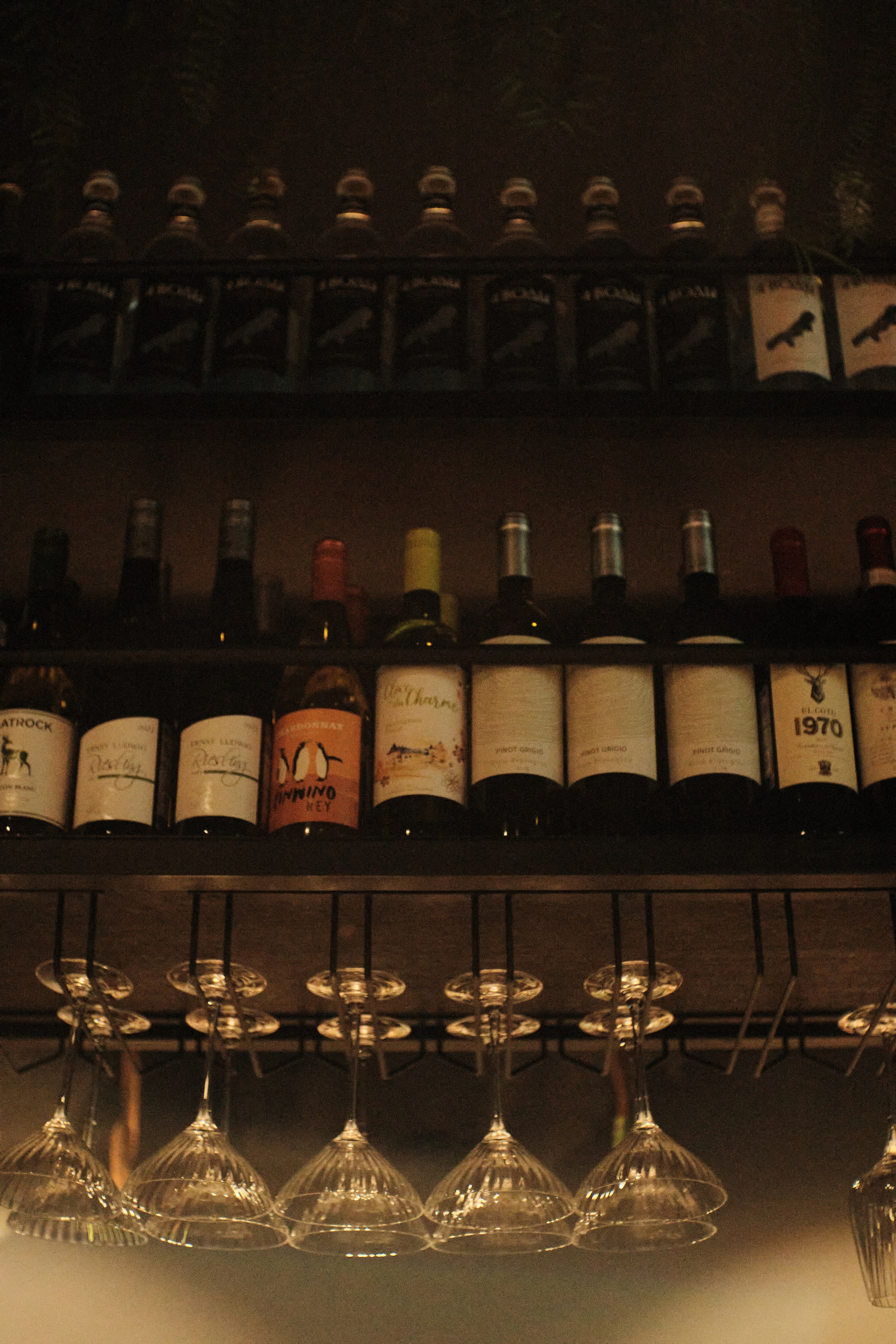 Репортажи. ИРЛ — Проект