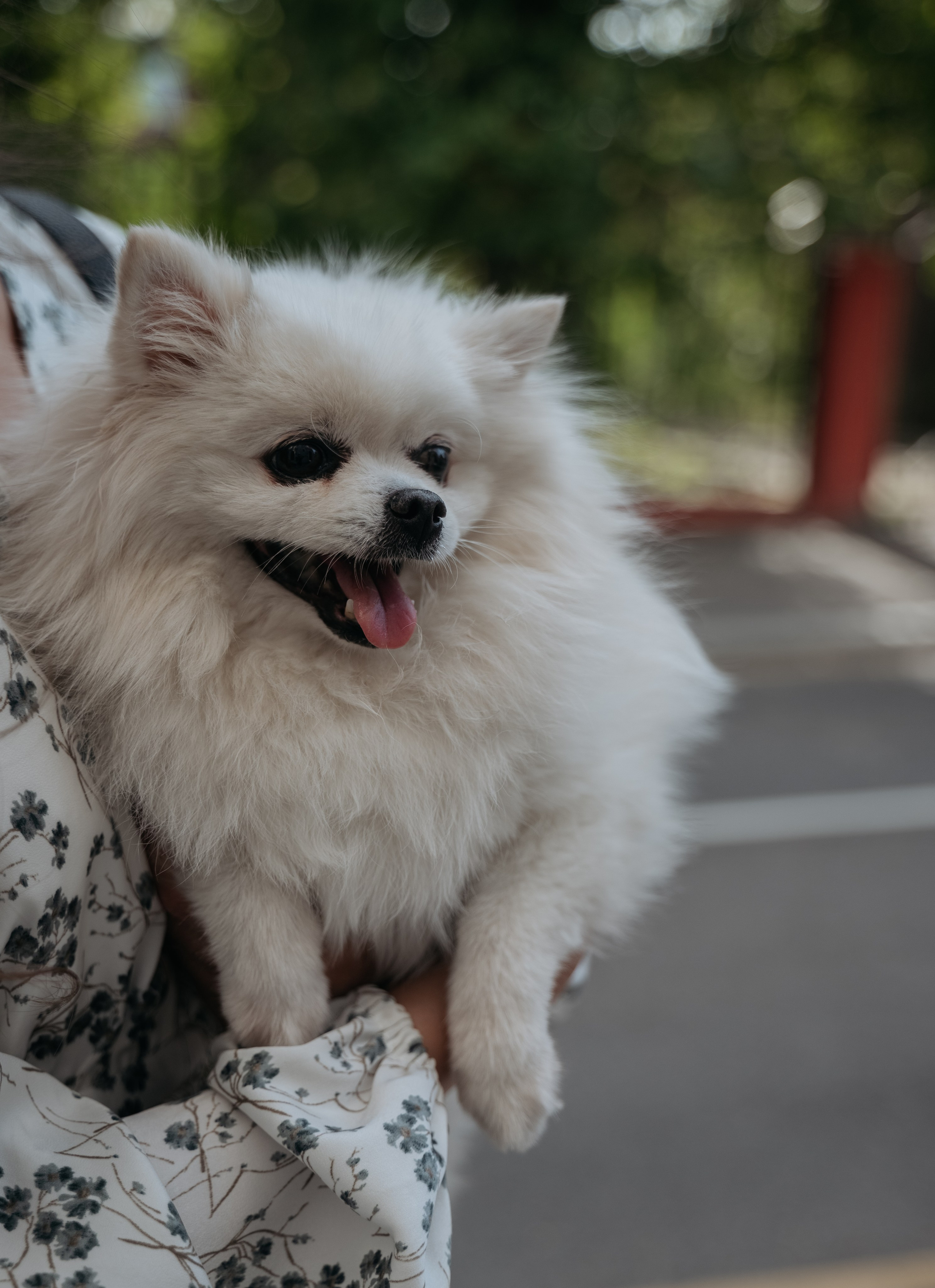 Прогулка к завтраку