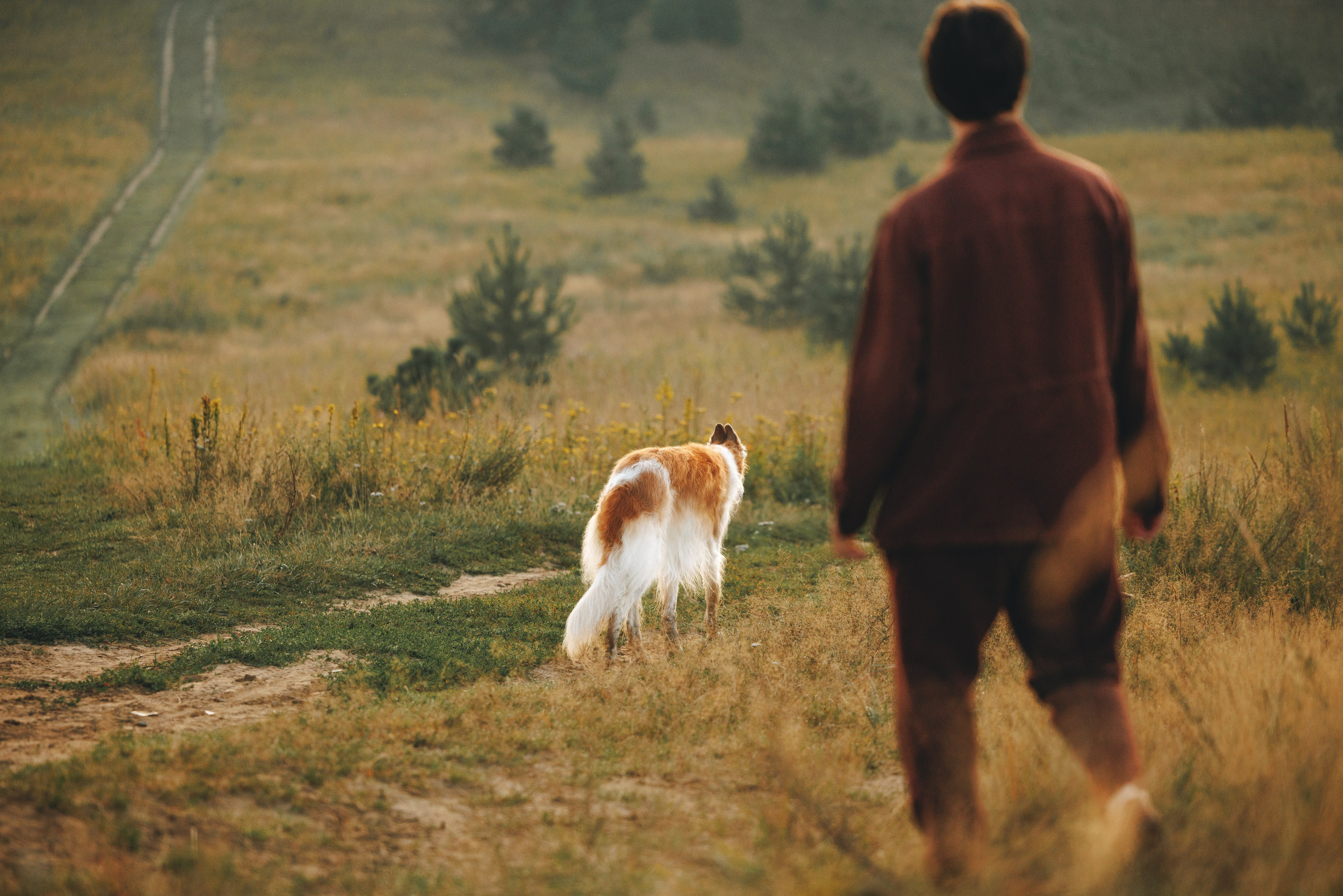 Сергей, Оксана и Жара. Фотограф анималист Осипчикова Мария