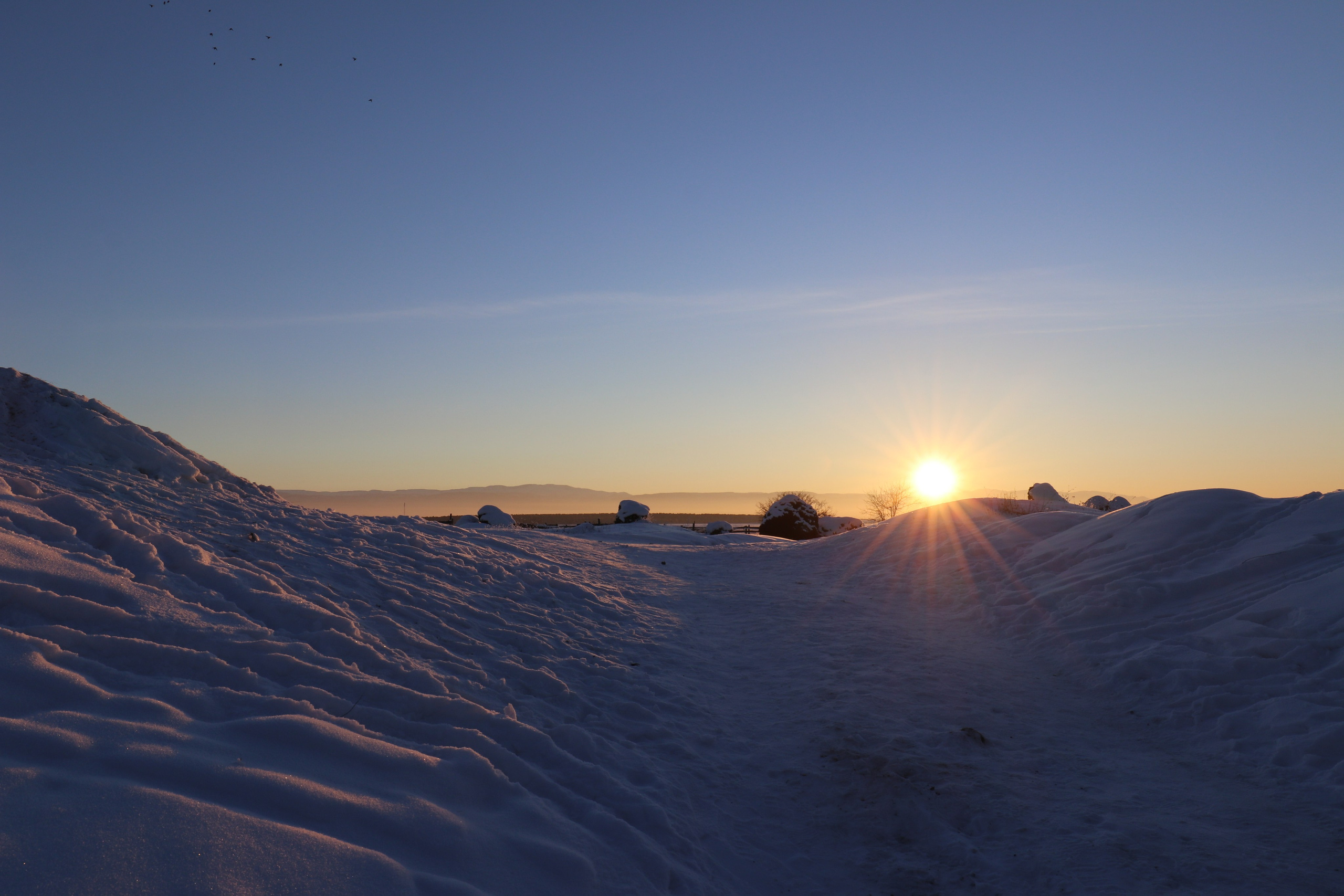 Аршан. Январь 2022. Путешественник-фотограф из Санкт-Петербурга Татьяна Свистулина