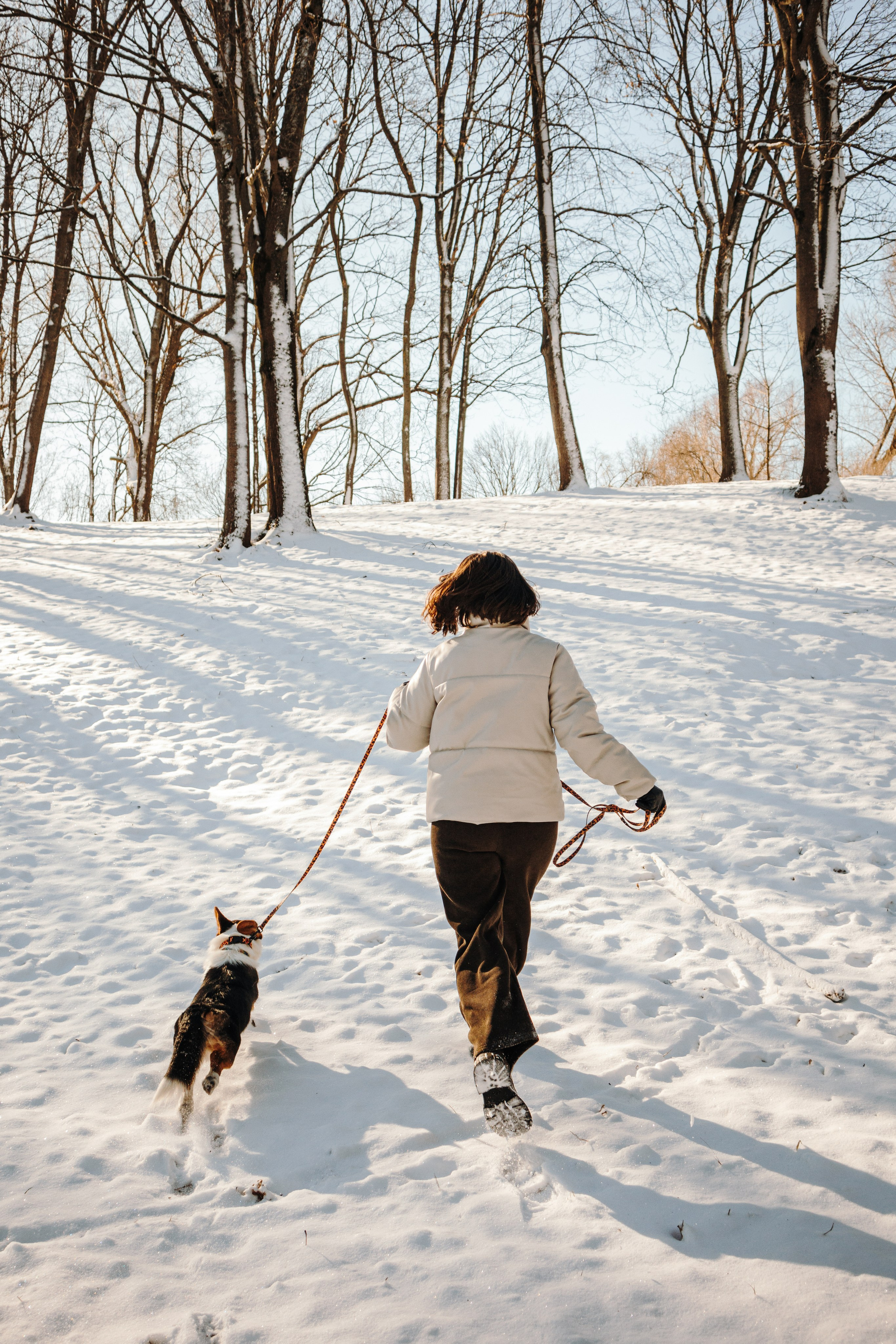 Катя и Дора. Фотограф-анималист в Санкт-Петербурге