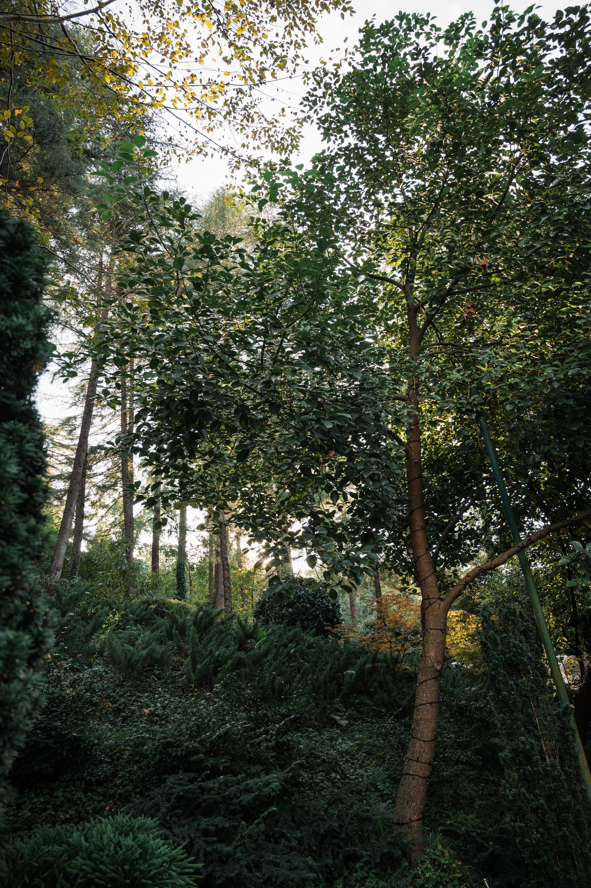 Репортажный фотограф на корпоратив и другие мероприятия. Свадебный и семейный фотограф в Краснодаре Марина Стёпа