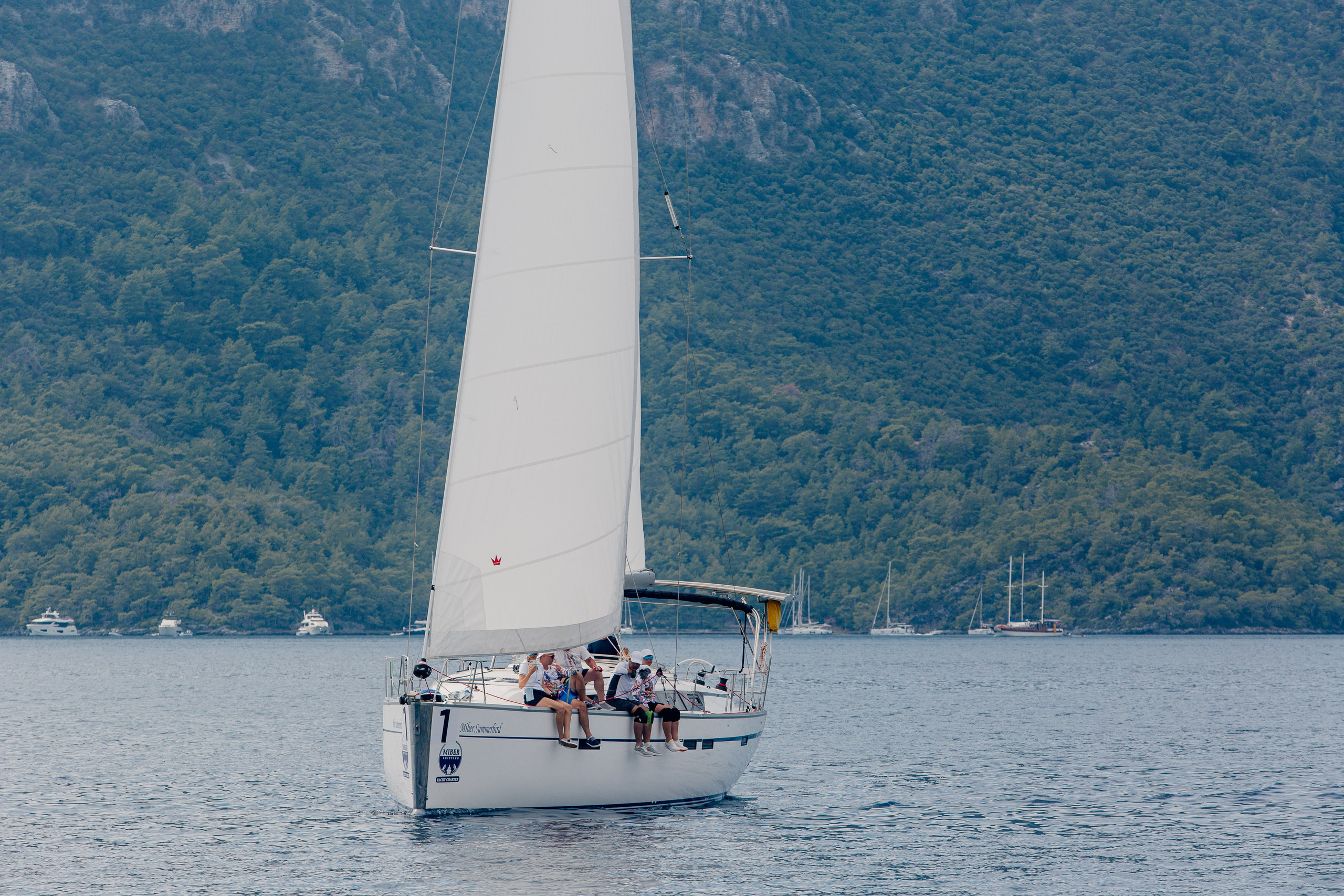 Фармрегата. Свадебный фотограф Москва Анна Шилова