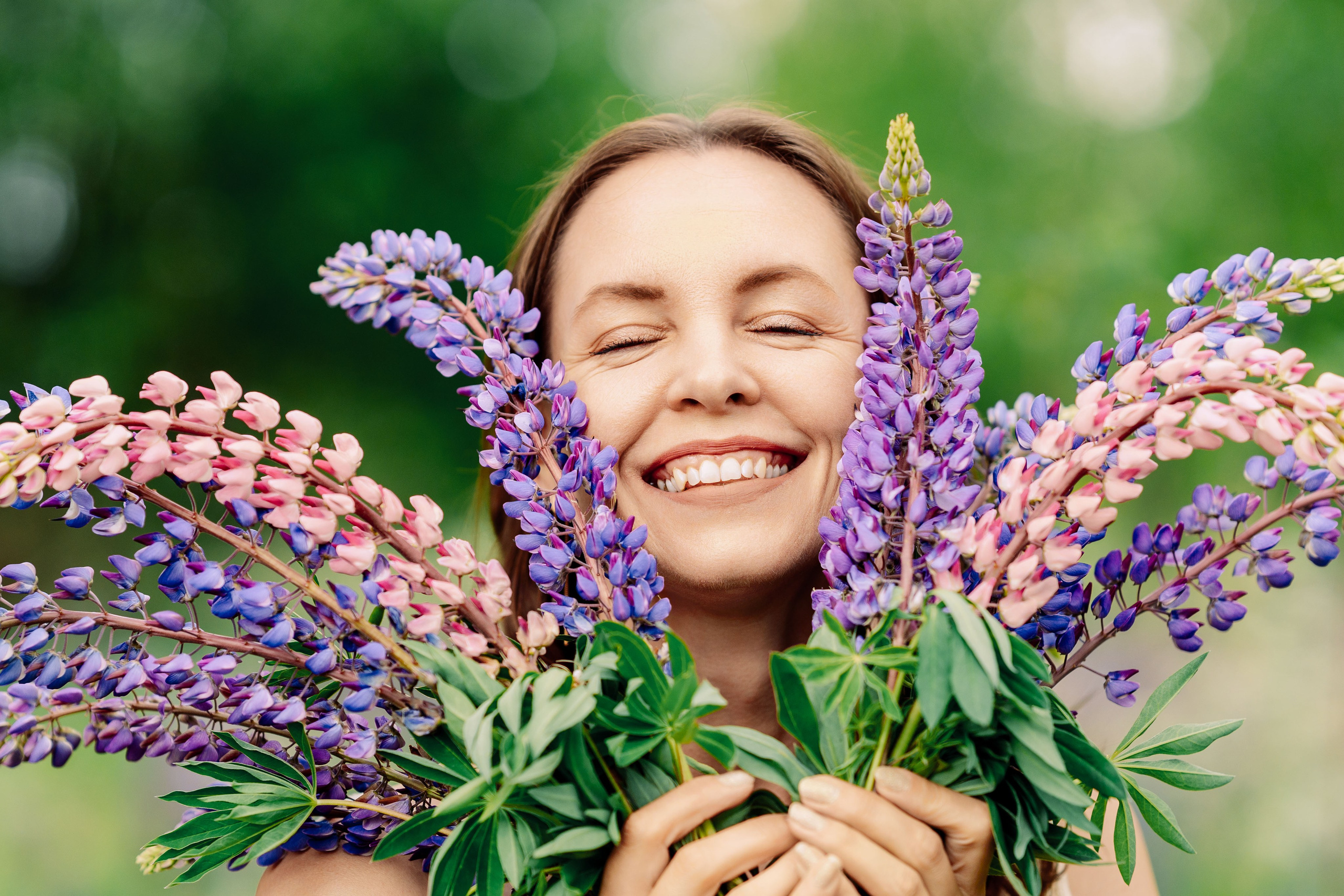 Люпины. Фотограф Юлия Попова