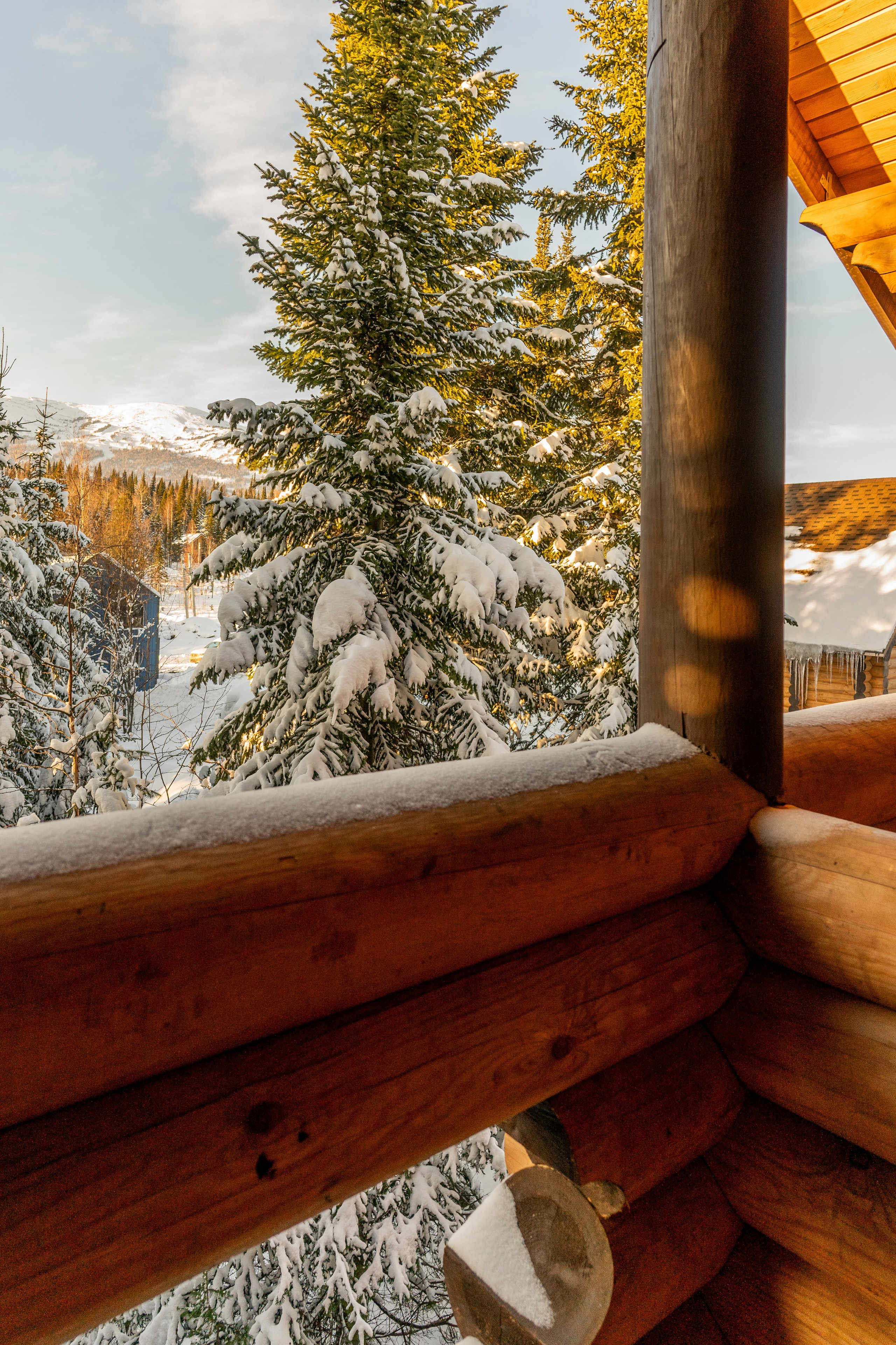 Home. Анастасия Паршукова — фотограф Шерегеш Новосибирск