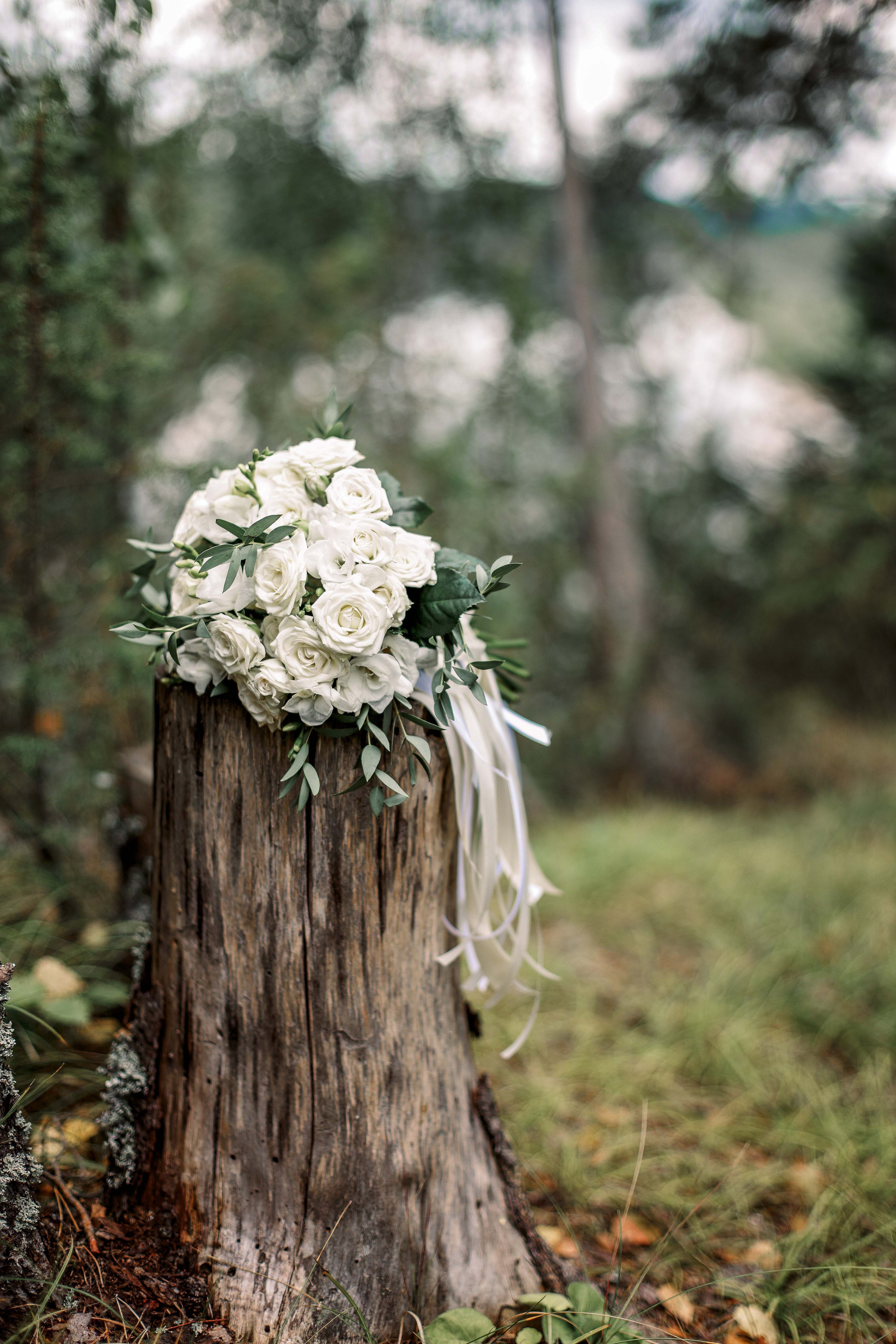 Свадебная съемка. Фотограф Санкт-Петербург Натали Тяглова