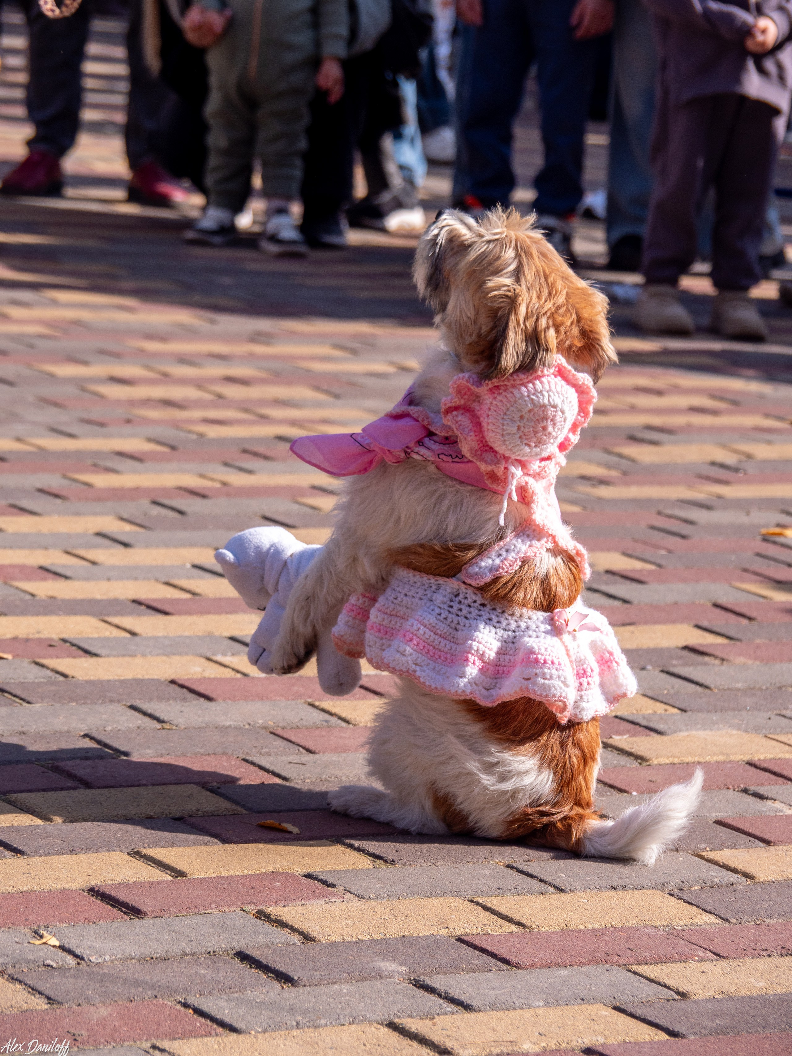 Обнимака 2025. Муром-Инфо. Новости культуры, образования, спорта в городе Муром