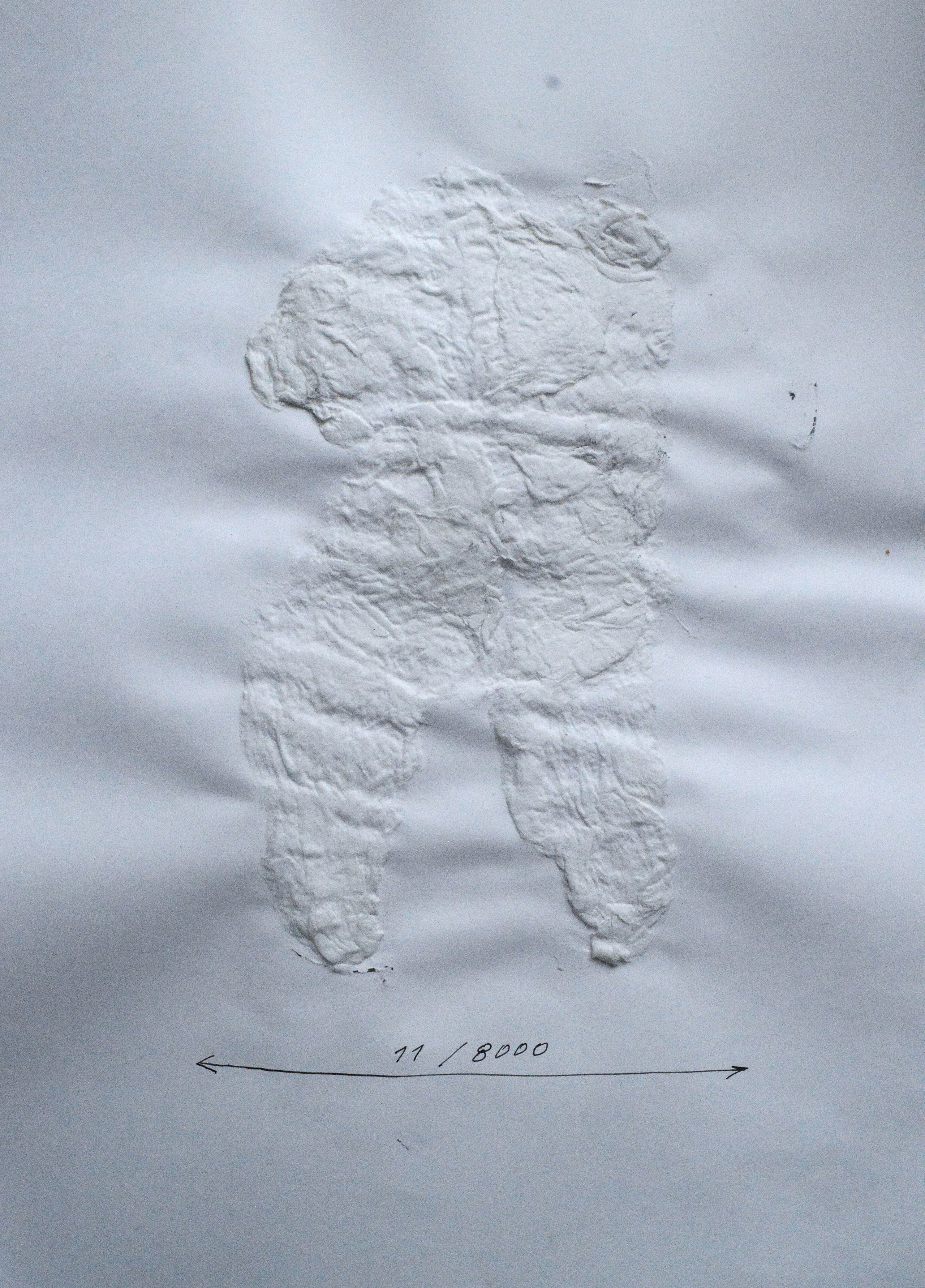 «8000 женщин» 2025. Лилия Ким. Междисциплинарный художник