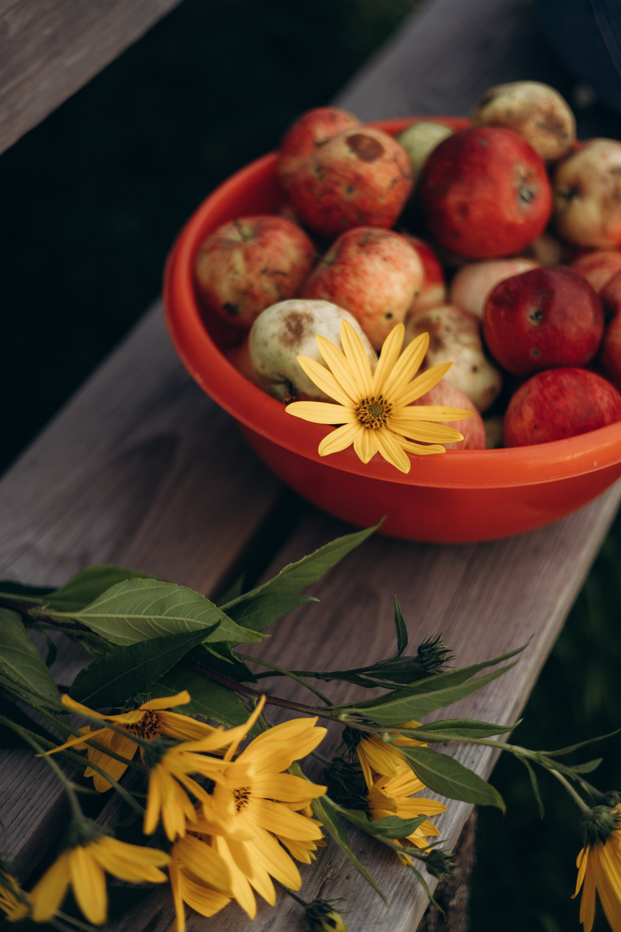 Мамочка и дочка (24.08.2025) г. Жуков (Калужская обл.). Надежда Стар семейный и церковный фотограф в Жукове и Калужской области