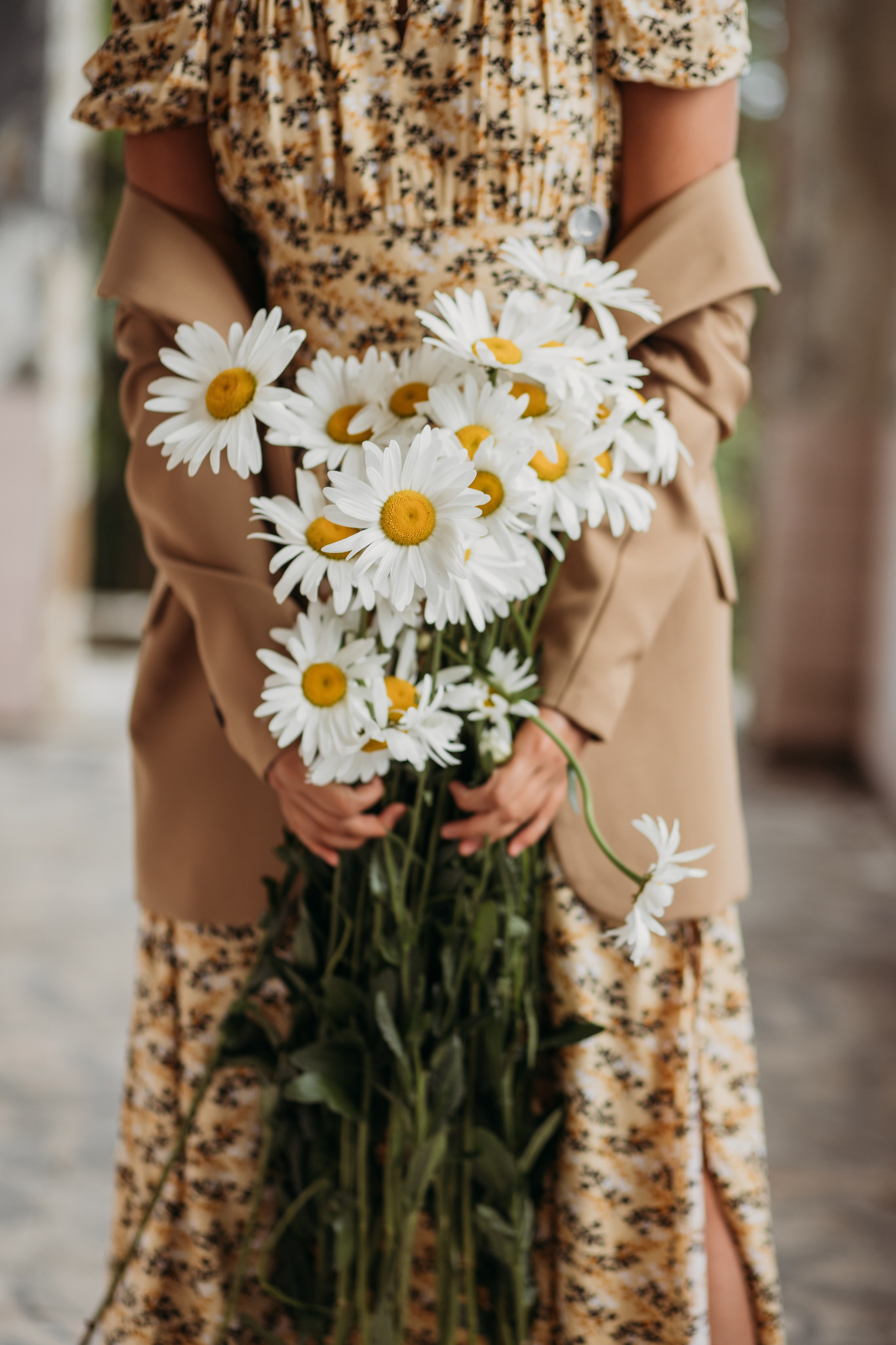 Дача Квитко. Фотограф Сочи Татьяна Зорина