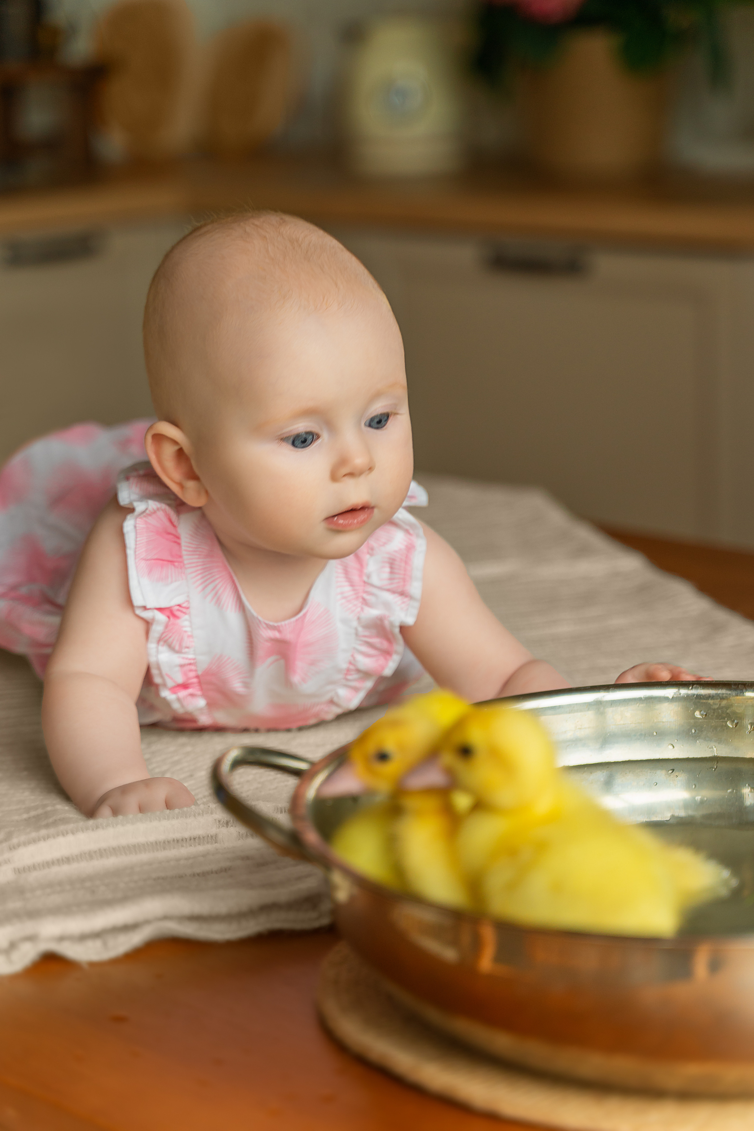 Семейные фотосессии. Фотограф Москва Подольск МО