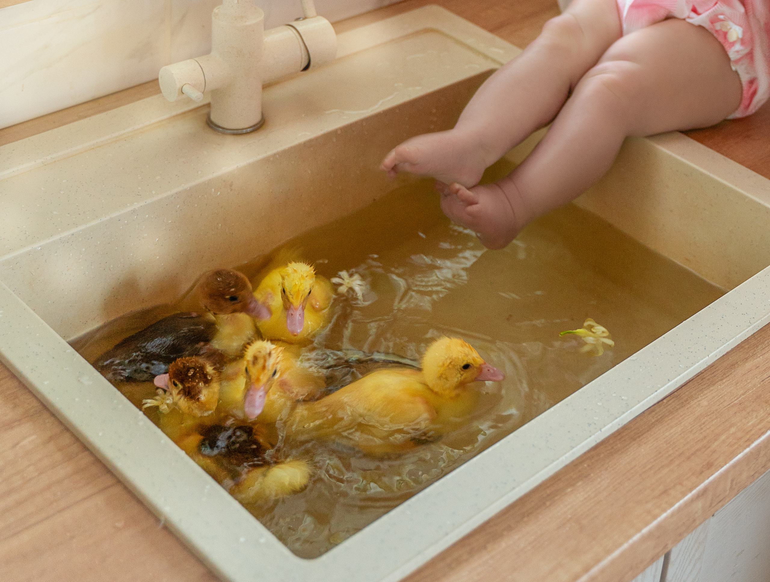 Семейные фотосессии. Фотограф Москва Подольск МО