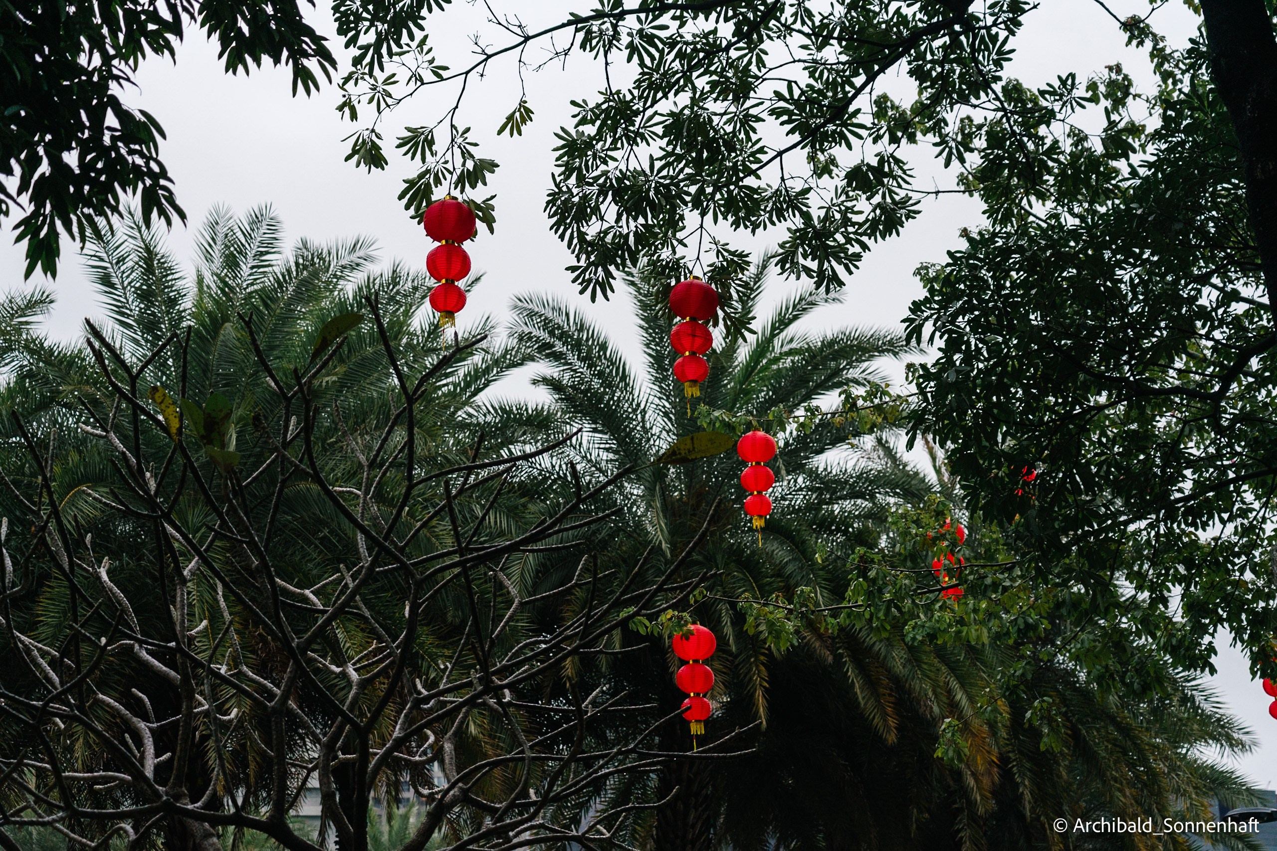 Chinese Lanterns Day. Photographer in Guangzhou, China. Archibald Sonnenhaft