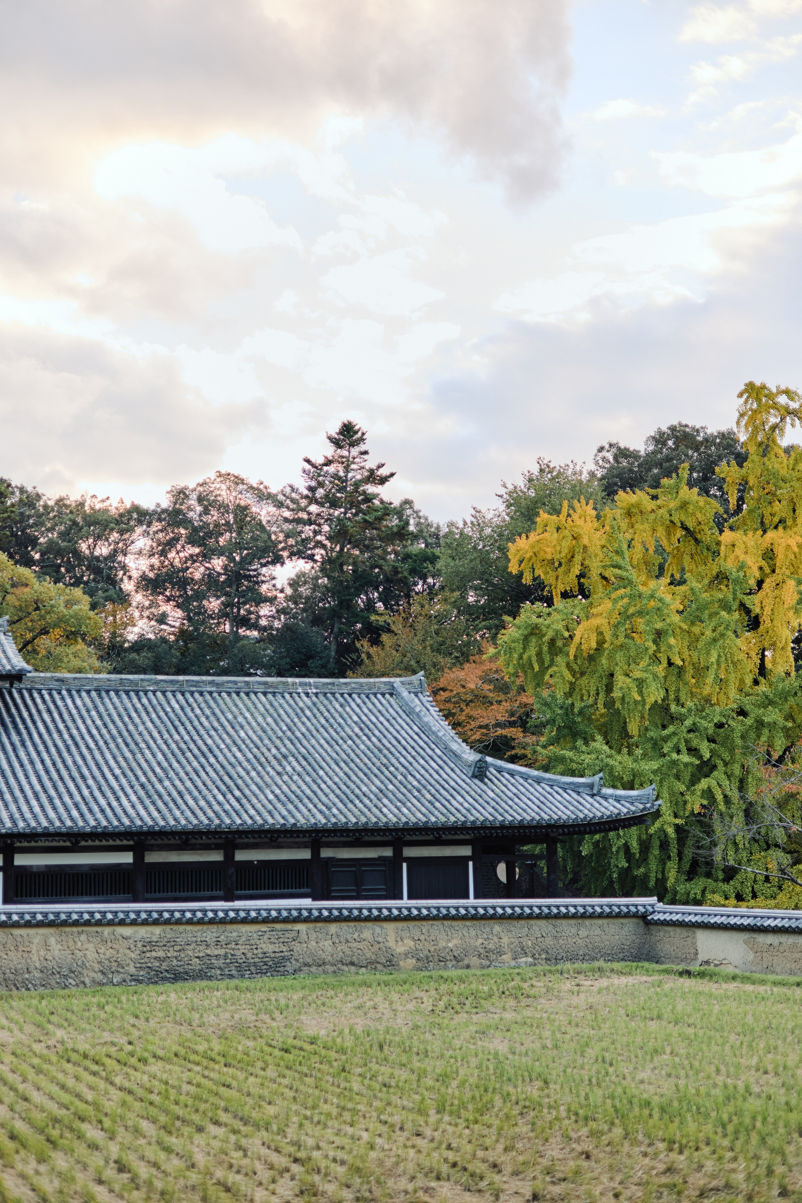 Япония. Профессиональный Фотограф во Владимире, в Москве и в Суздале — Полина Романычева