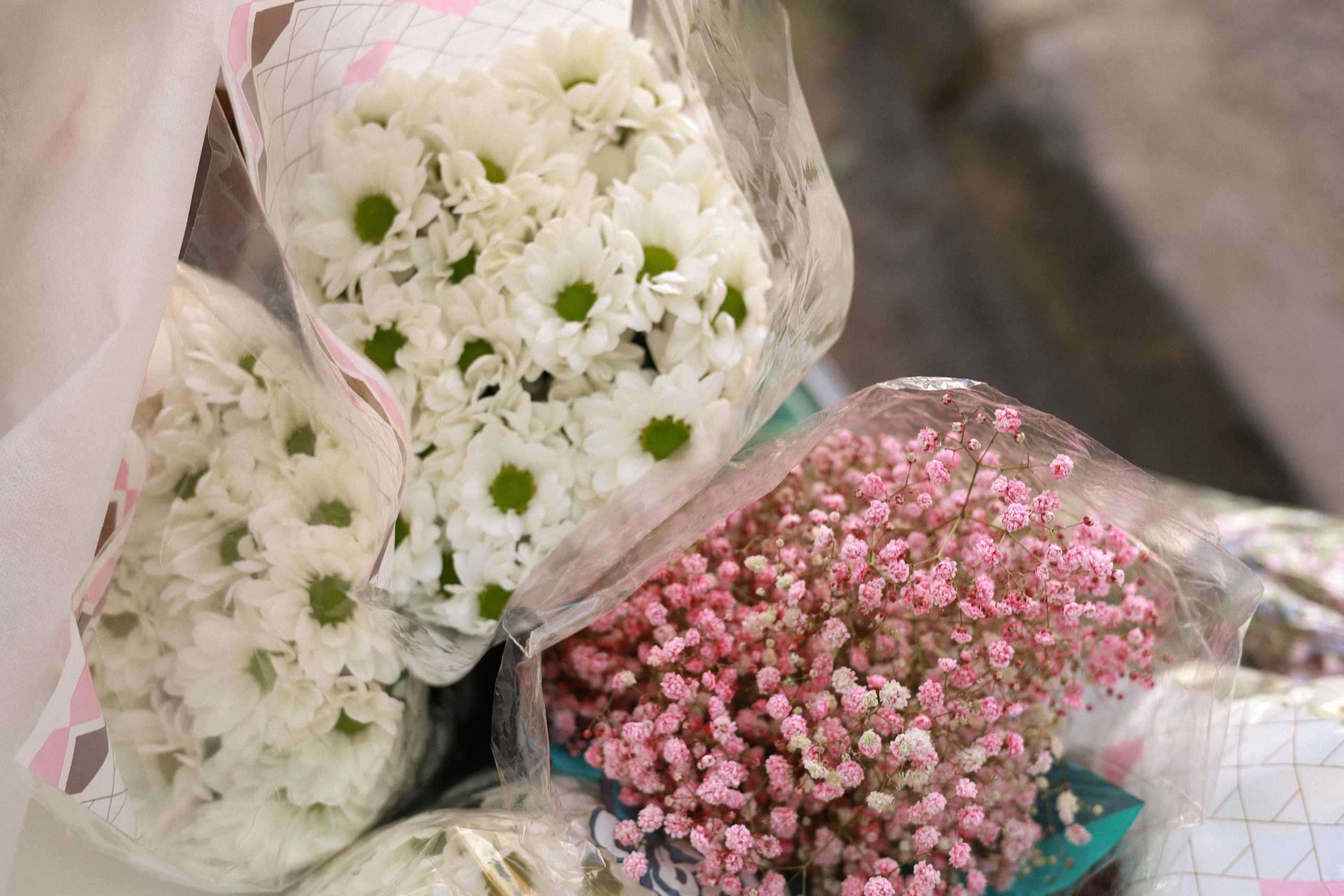 НОНЦ. Фотограф Мурманск | Нижний Новгород • Анна Хижняк