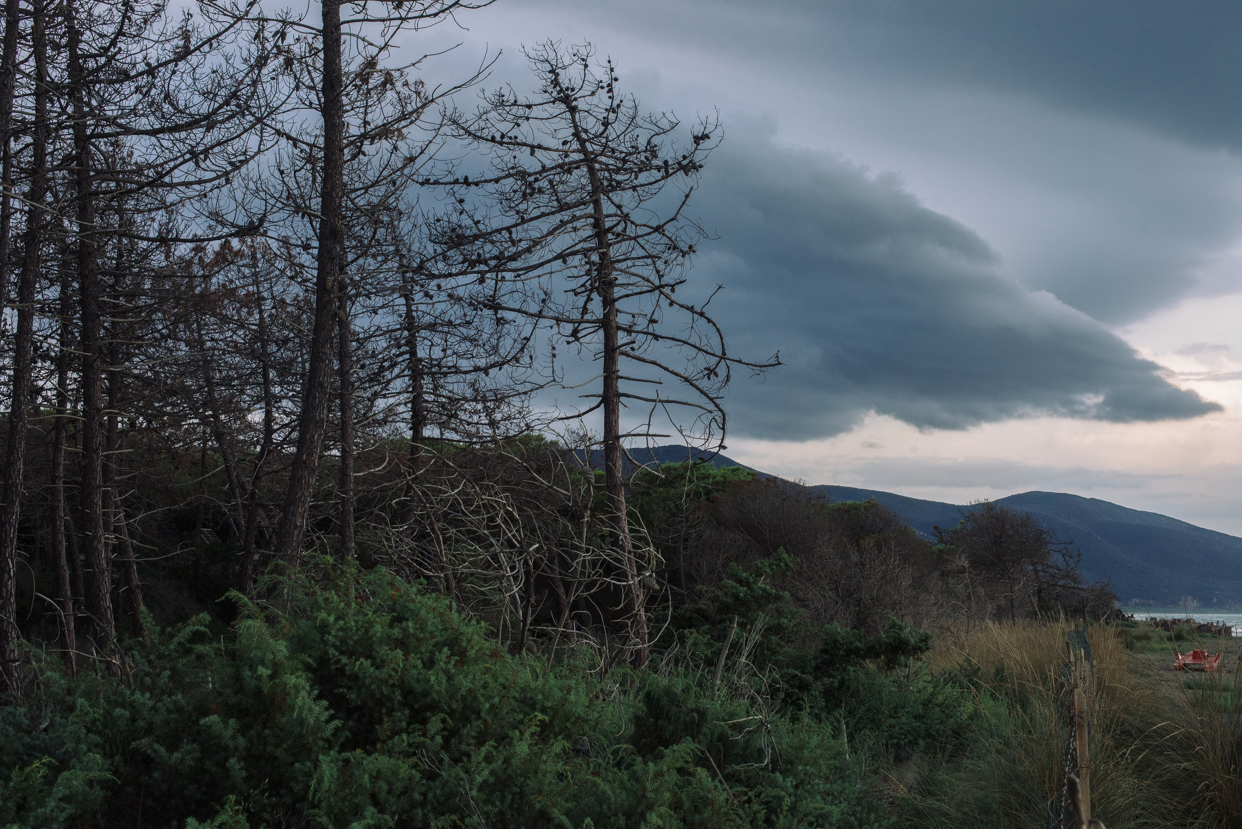 Марина-ди-Альберезе