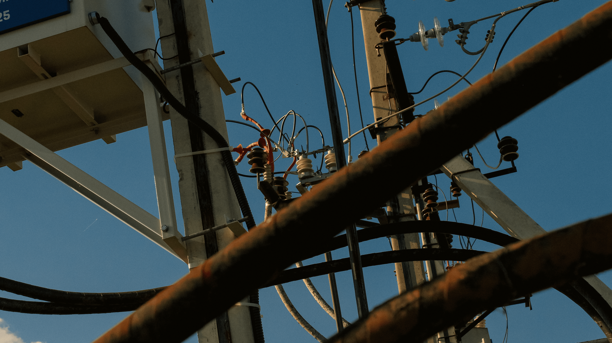 TMN summer '24. Фотограф/дизайнер в Екатеринбурге Хитрый Дмитрий