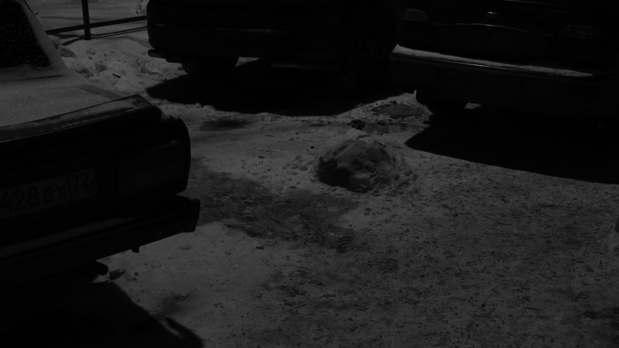 TMN winter '25 (wb). Фотограф/дизайнер в Екатеринбурге Хитрый Дмитрий