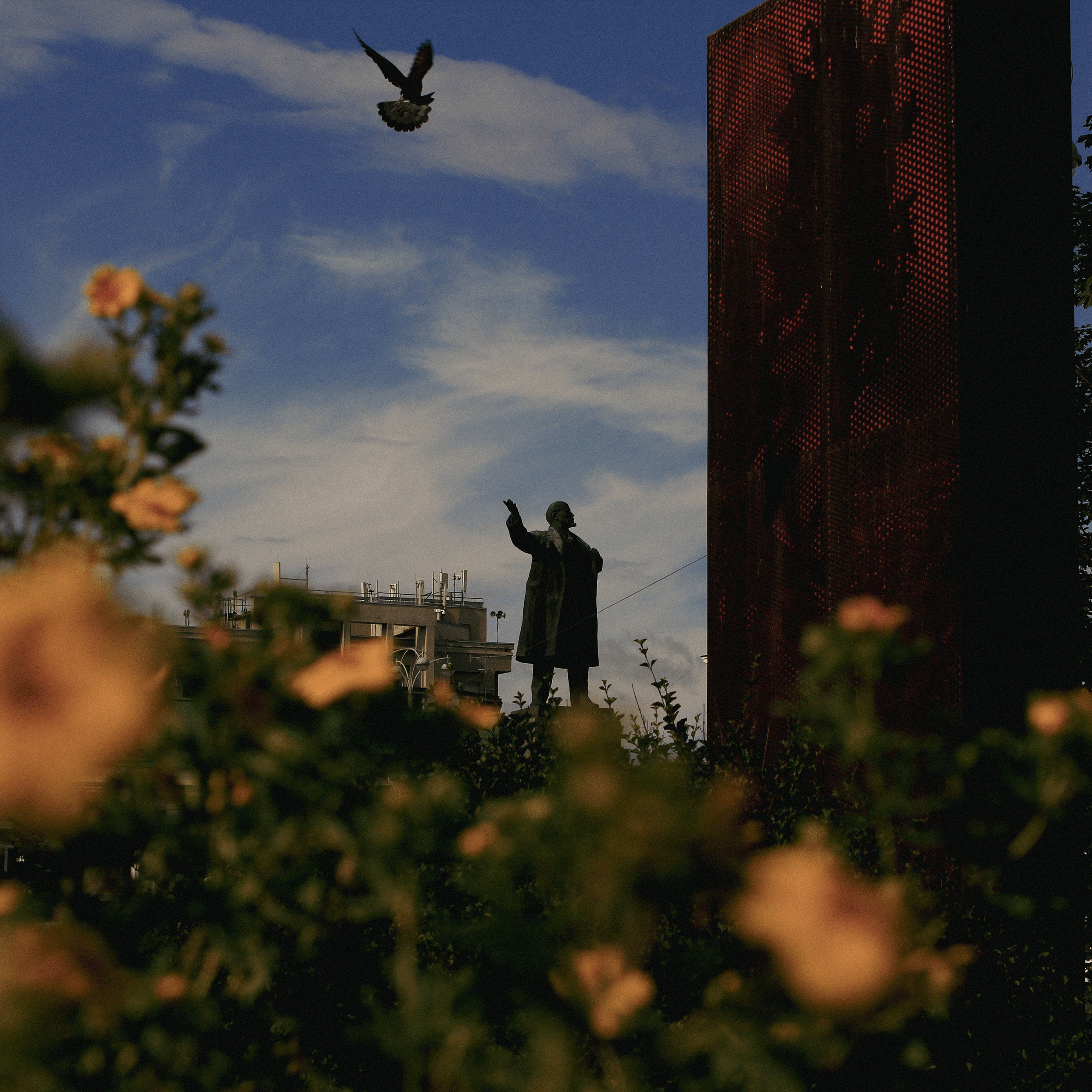 Summertime. Фотограф/дизайнер в Екатеринбурге Хитрый Дмитрий