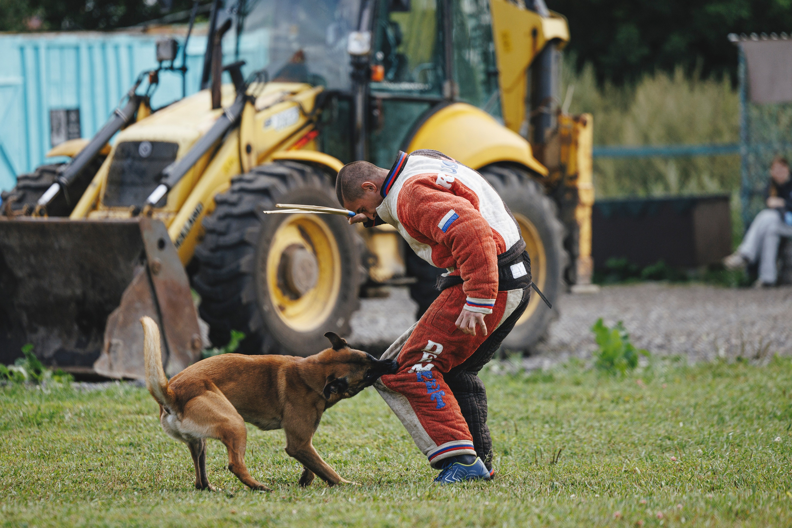 08.08.25-10.08.25 ЧР по мондьорингу г. Вологда. Фотограф-анималист Анна Маринич