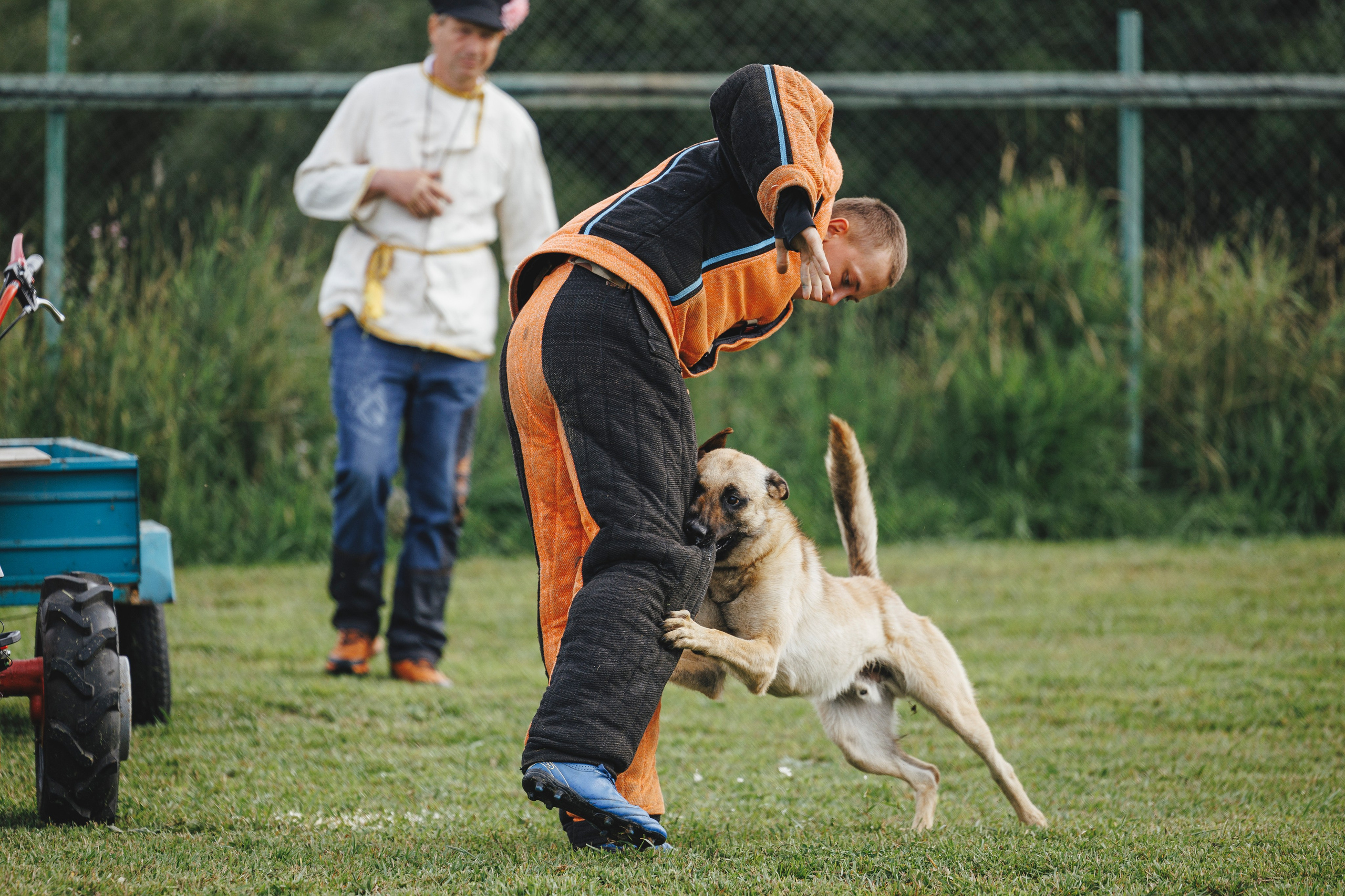 08.08.25-10.08.25 ЧР по мондьорингу г. Вологда. Фотограф-анималист Анна Маринич