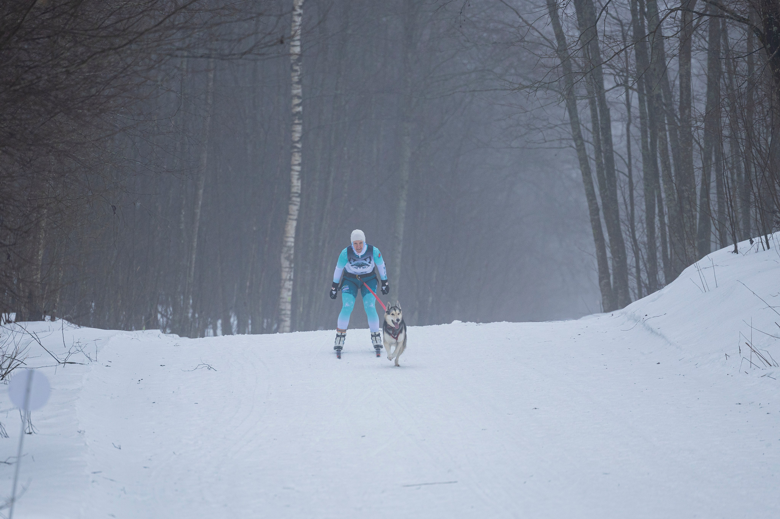 Зимний Чемпионат Санкт-Петербурга по ездовому спорту. Фотограф-анималист Анна Маринич