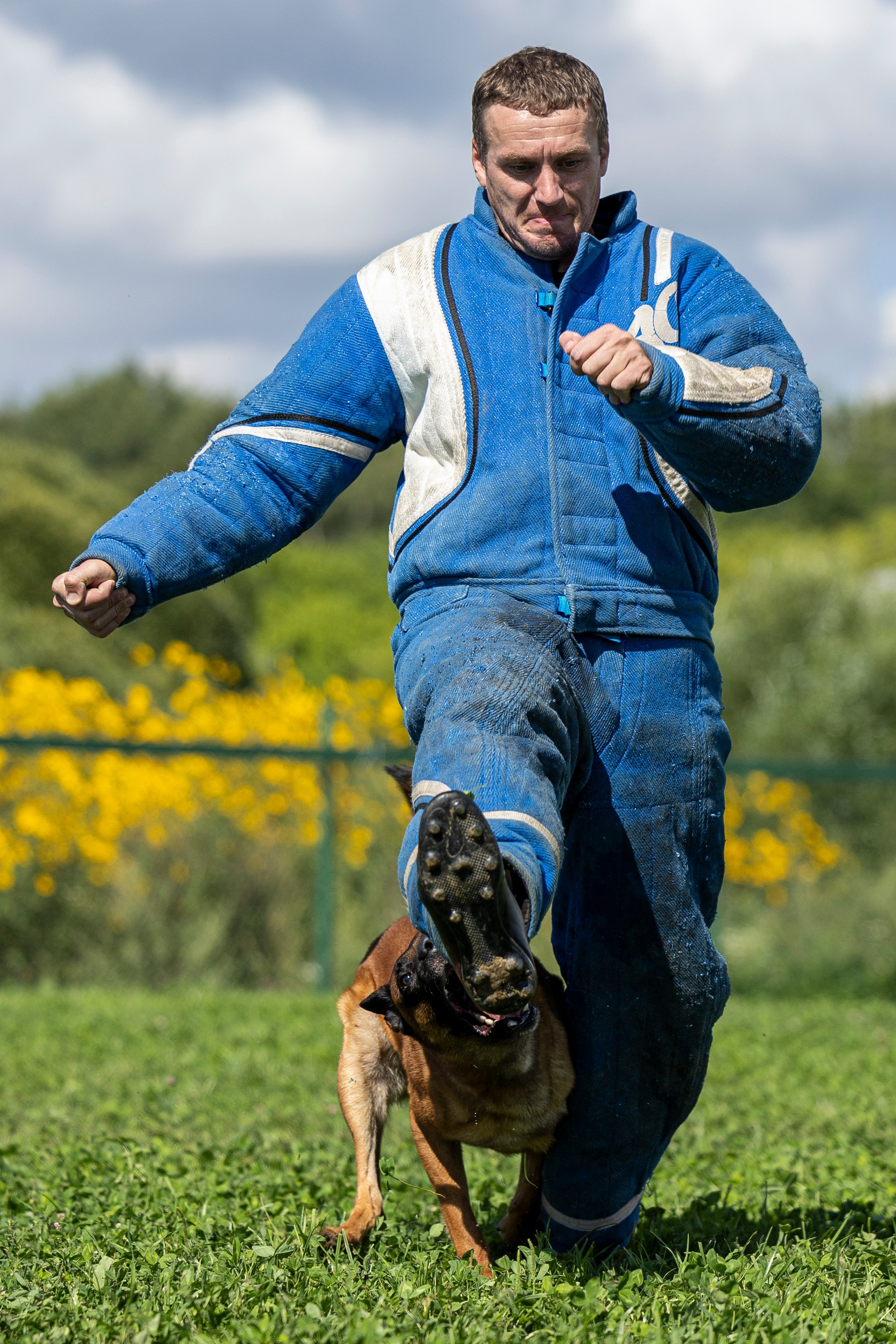 Соревнования по Мондьорингу г. Вологда 10-11.08.2024. Фотограф-анималист Анна Маринич