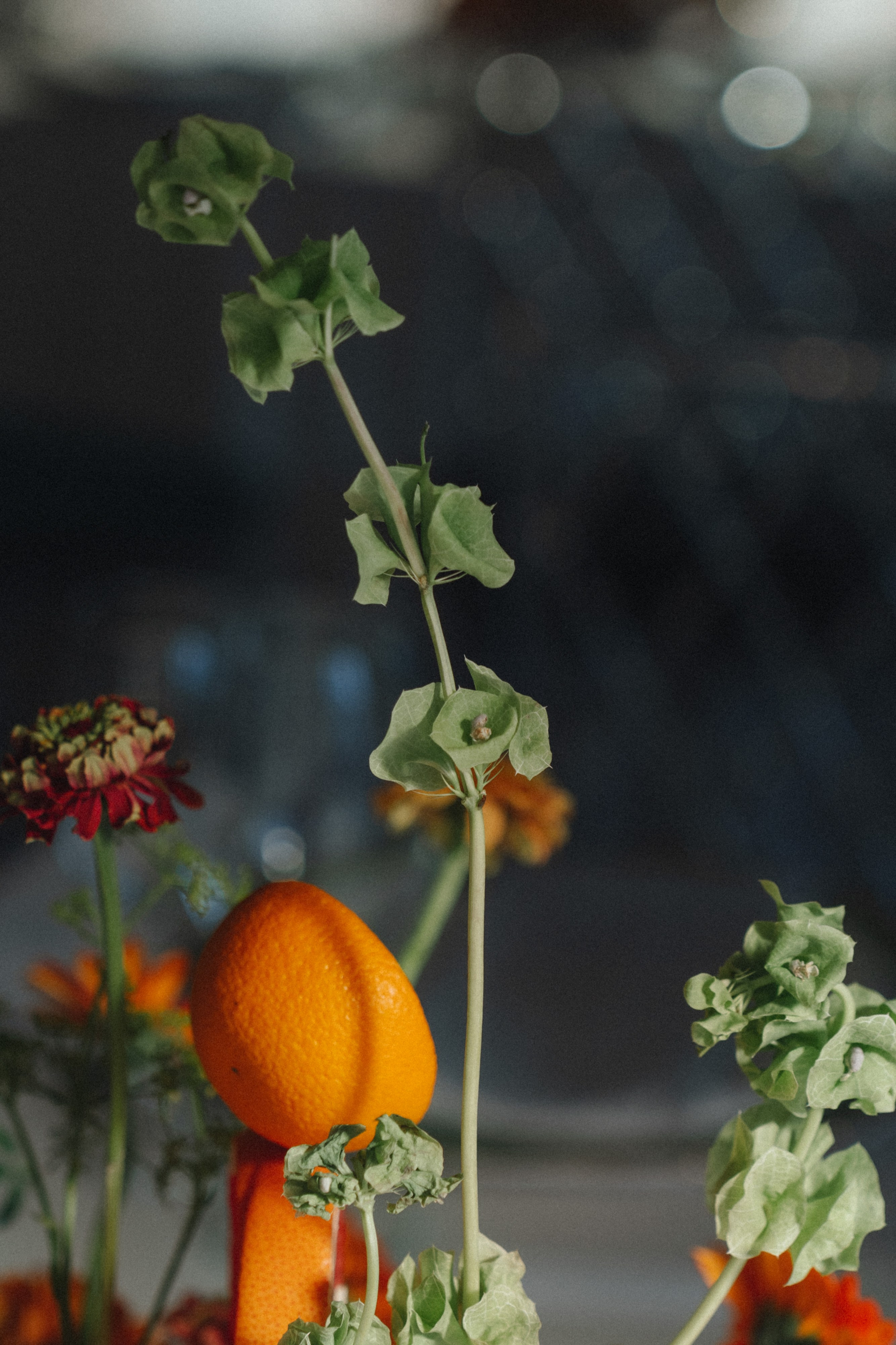 Антон и Алина. Фотограф Ксения Тимченко. Бережно к вам и вашим чувствам