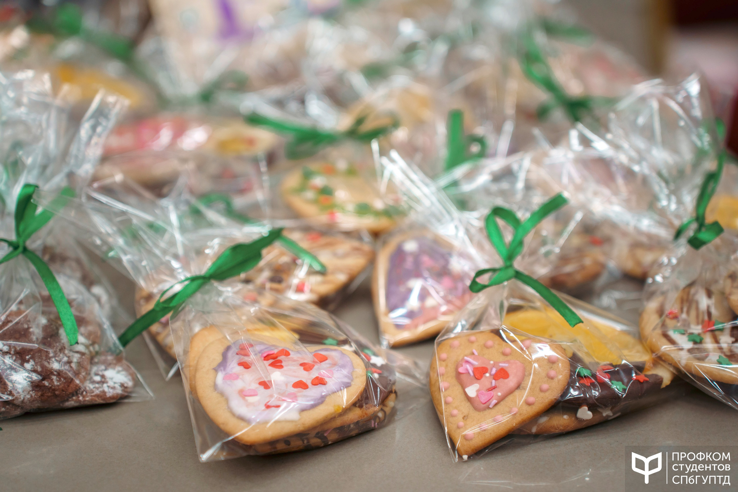 Новогодняя ярмарка 2024. Фотограф в Санкт-Петербурге Ибрагимова Алина