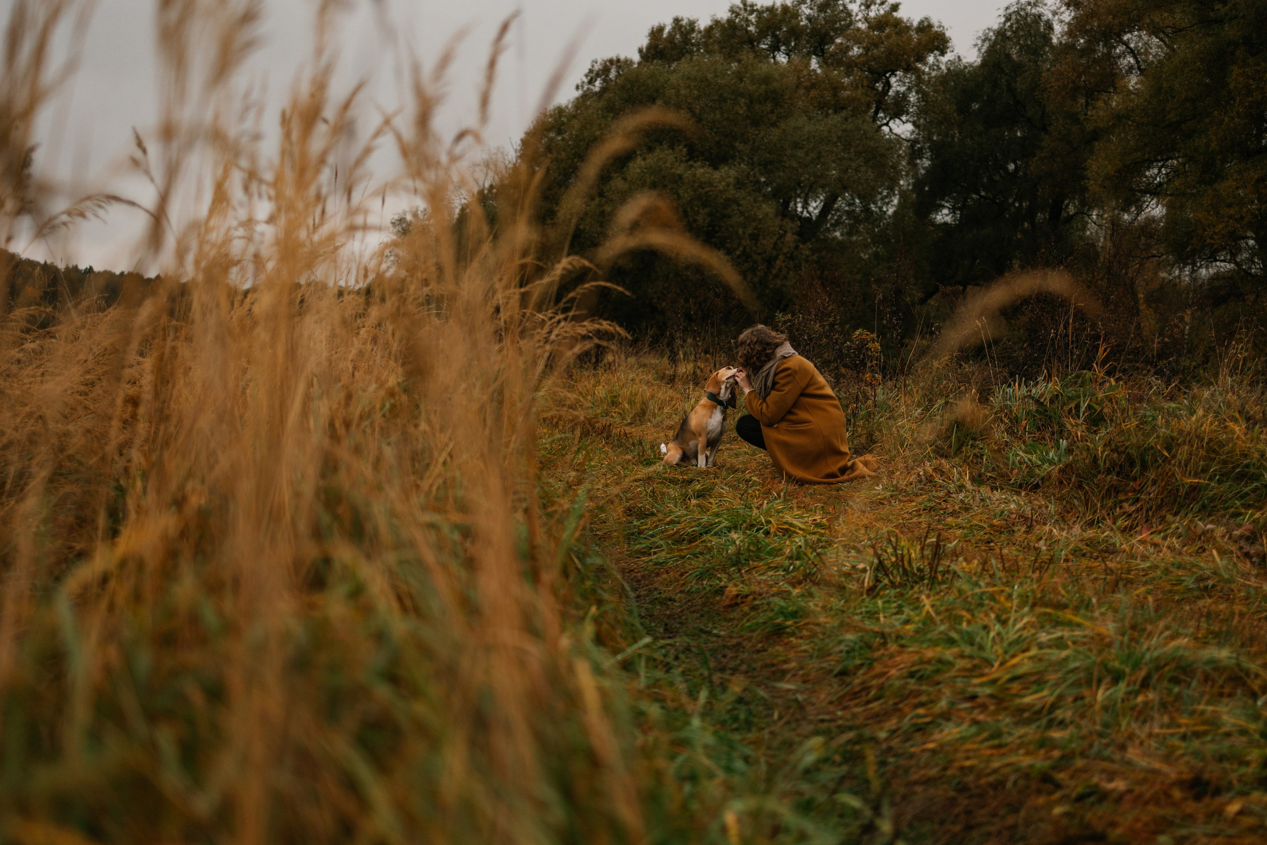 Лена и Тайгер. Фотограф — Анималист | Санкт-Петербург