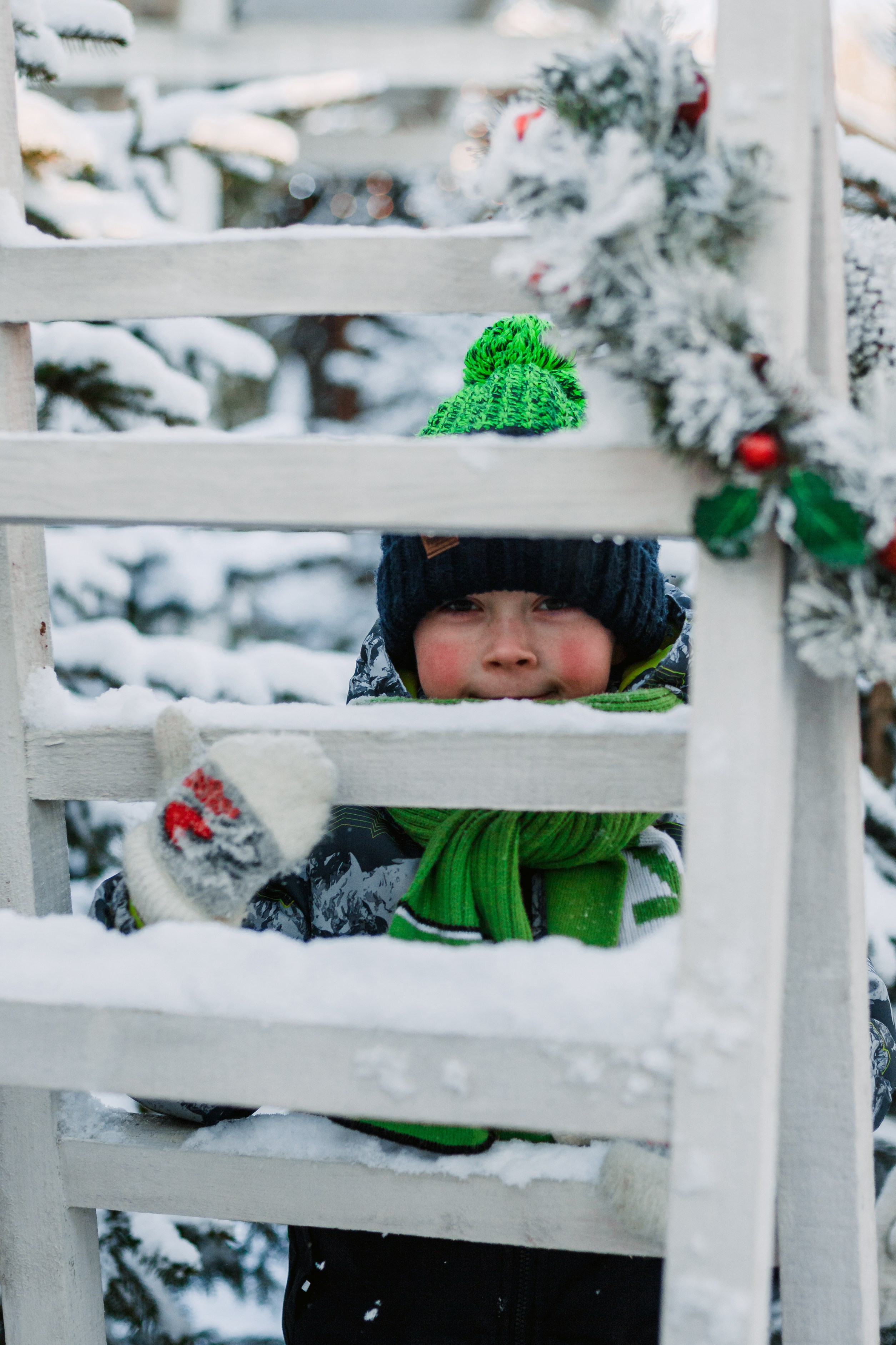Зингер дача. Фотограф-анималист Татьяна Степанова