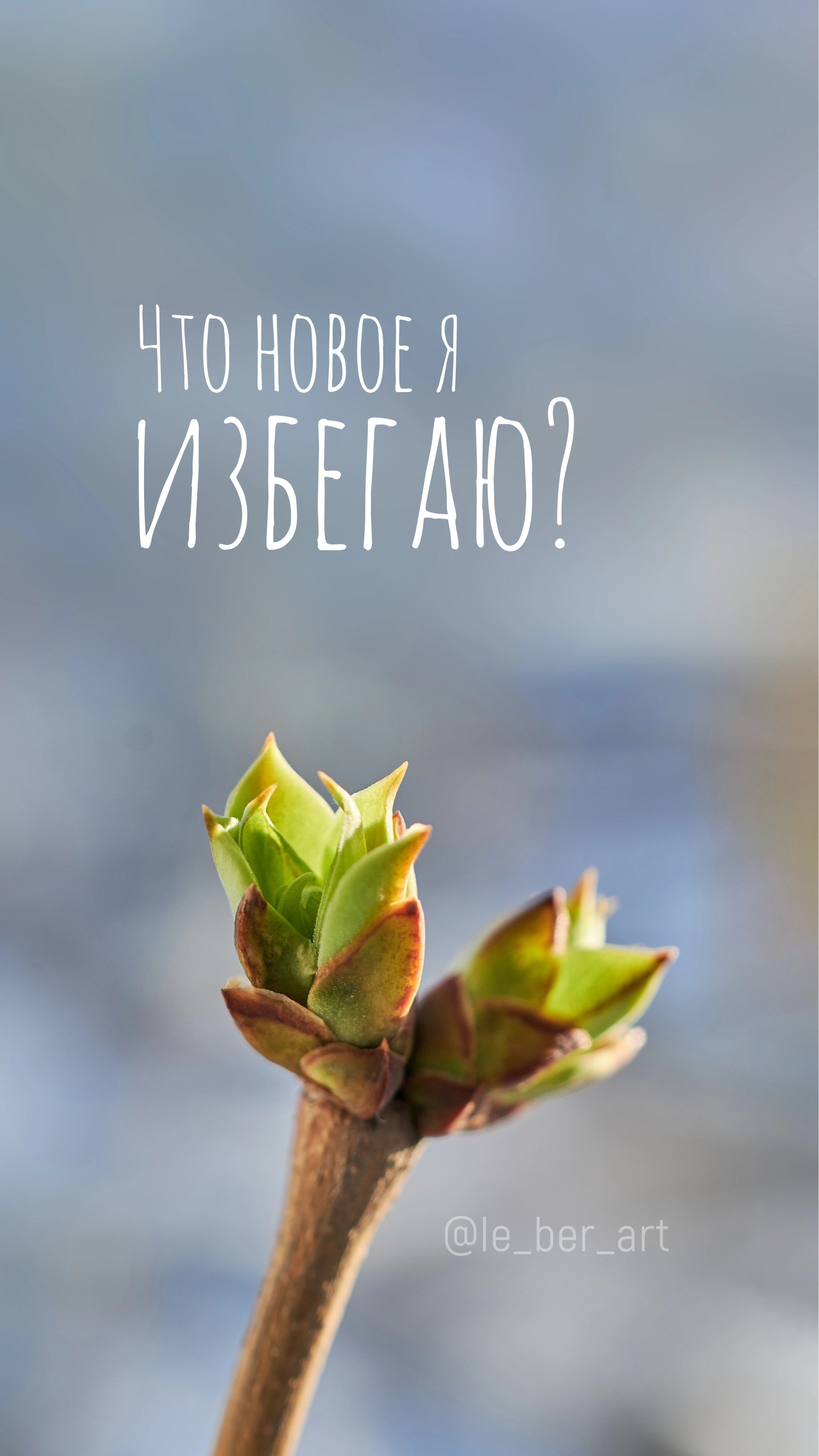 Заставки на телефон. Елена Берсенева, фотограф