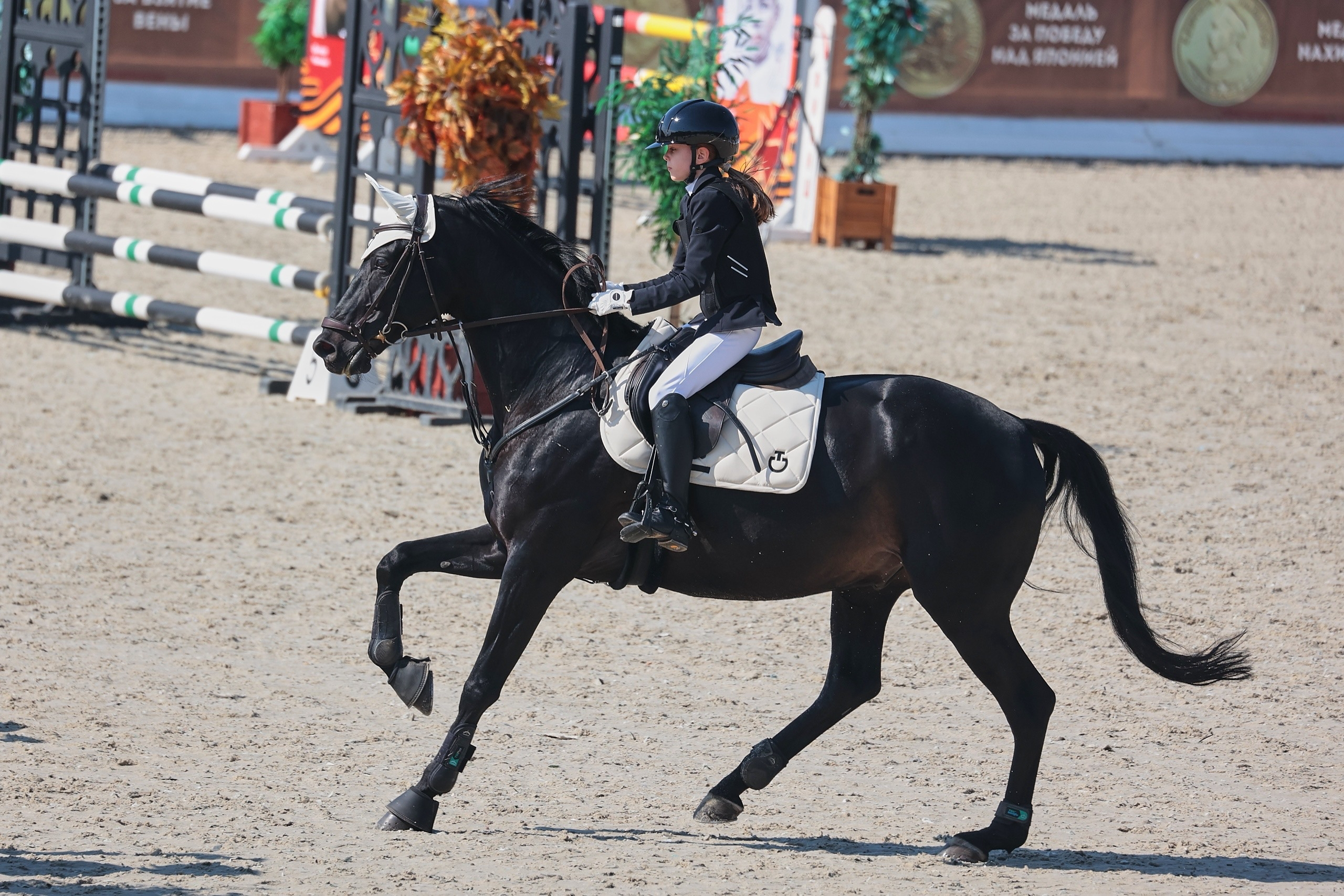 Конкур в Maxima Stables. Фотограф Самсонова Светлана