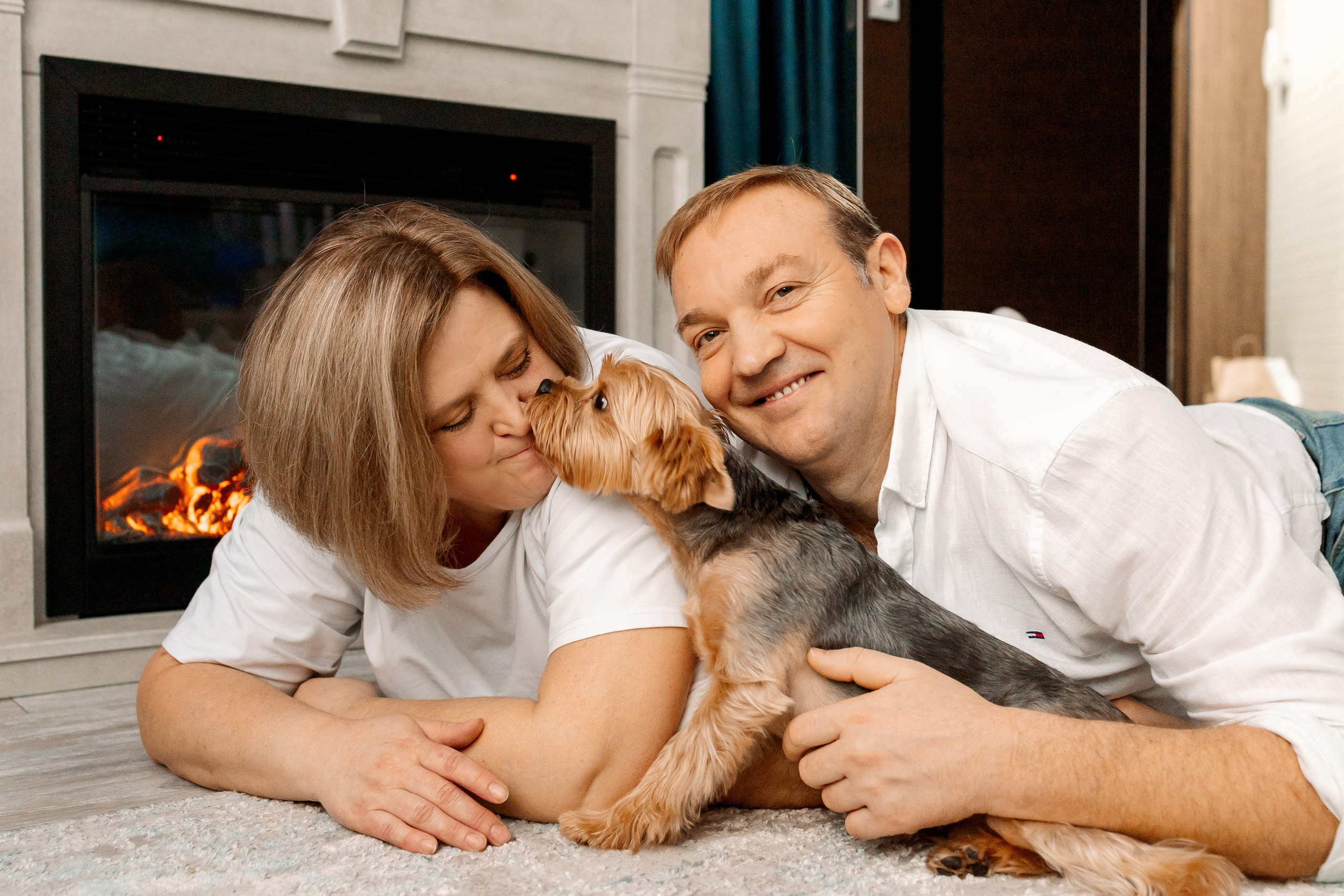 Домашняя история