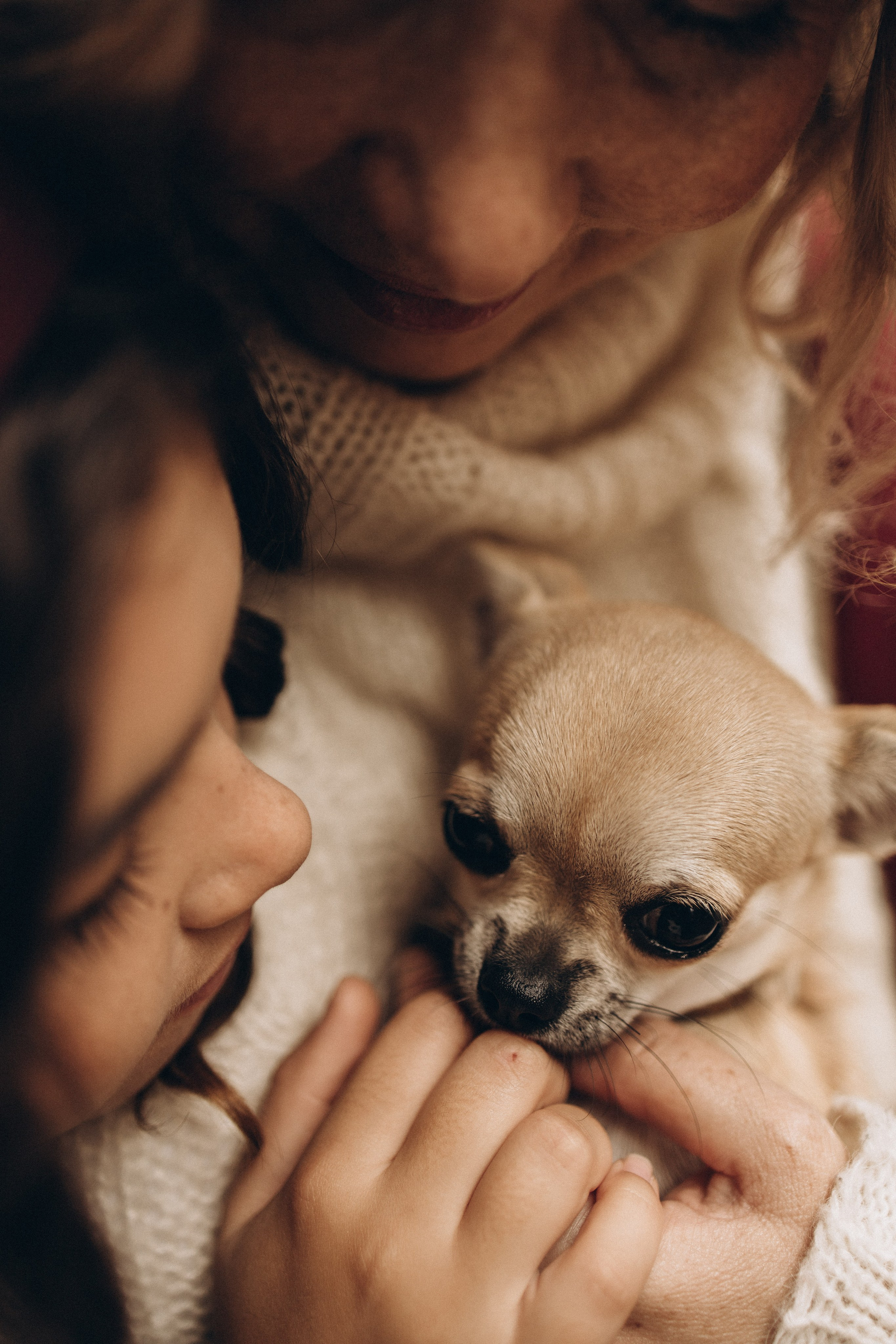 Застывший момент объятий мамы и дочери рядом с игривым животным