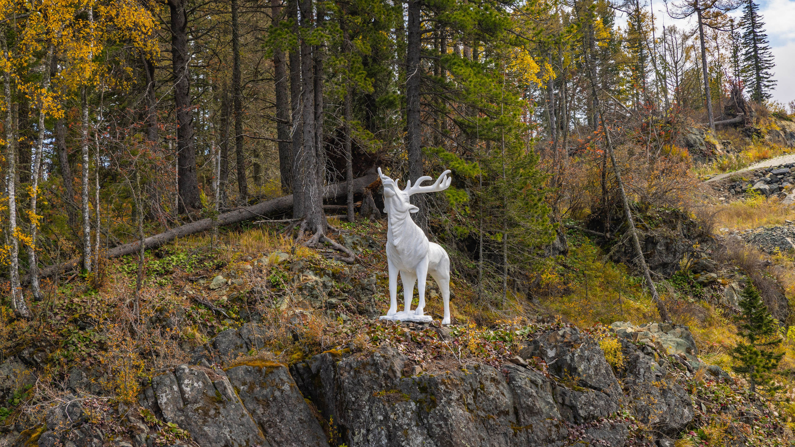 2025 09 Алтай. Чуйский тракт. Фотографии