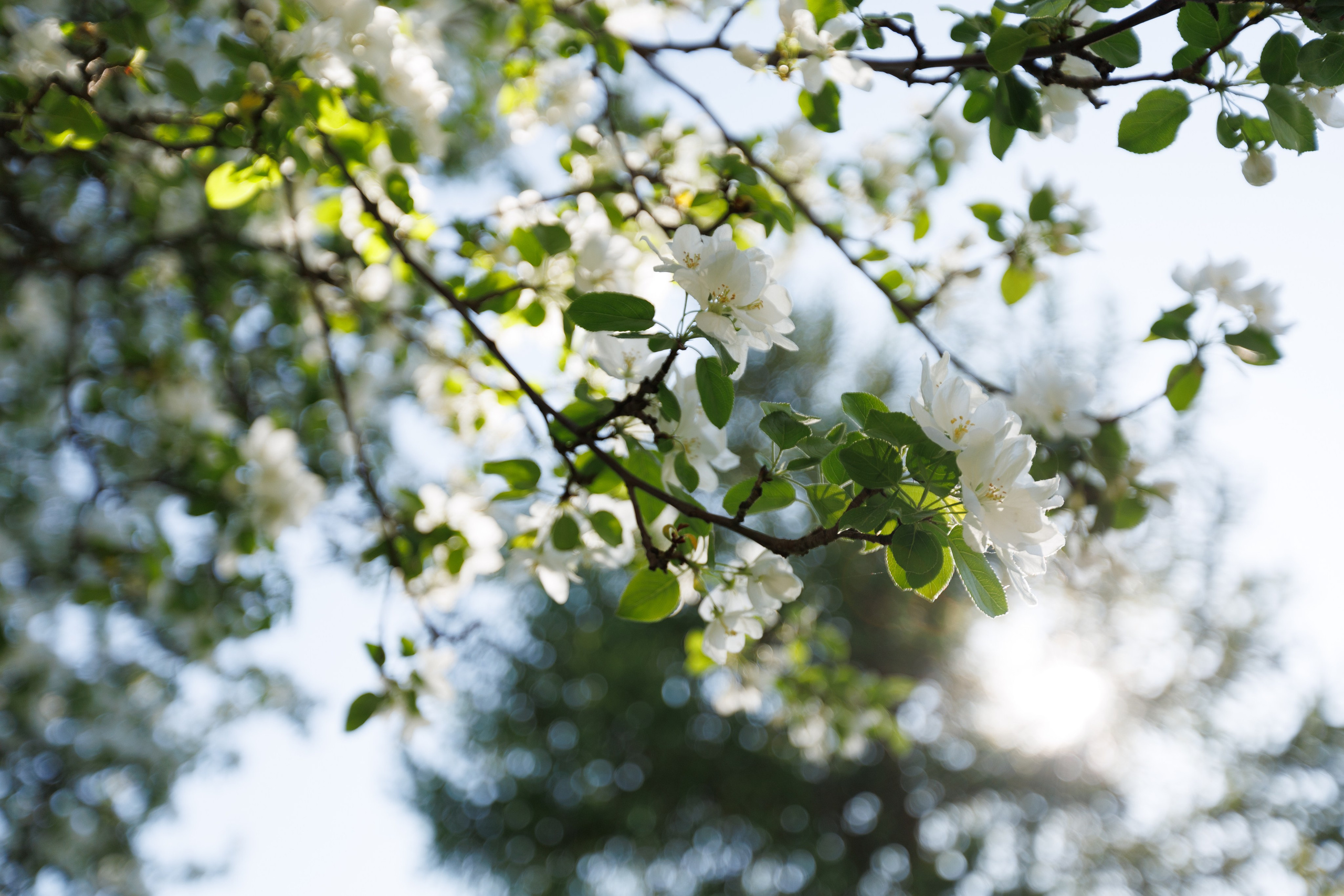 Света. Портретный и пейзажный фотограф Никита Павлов