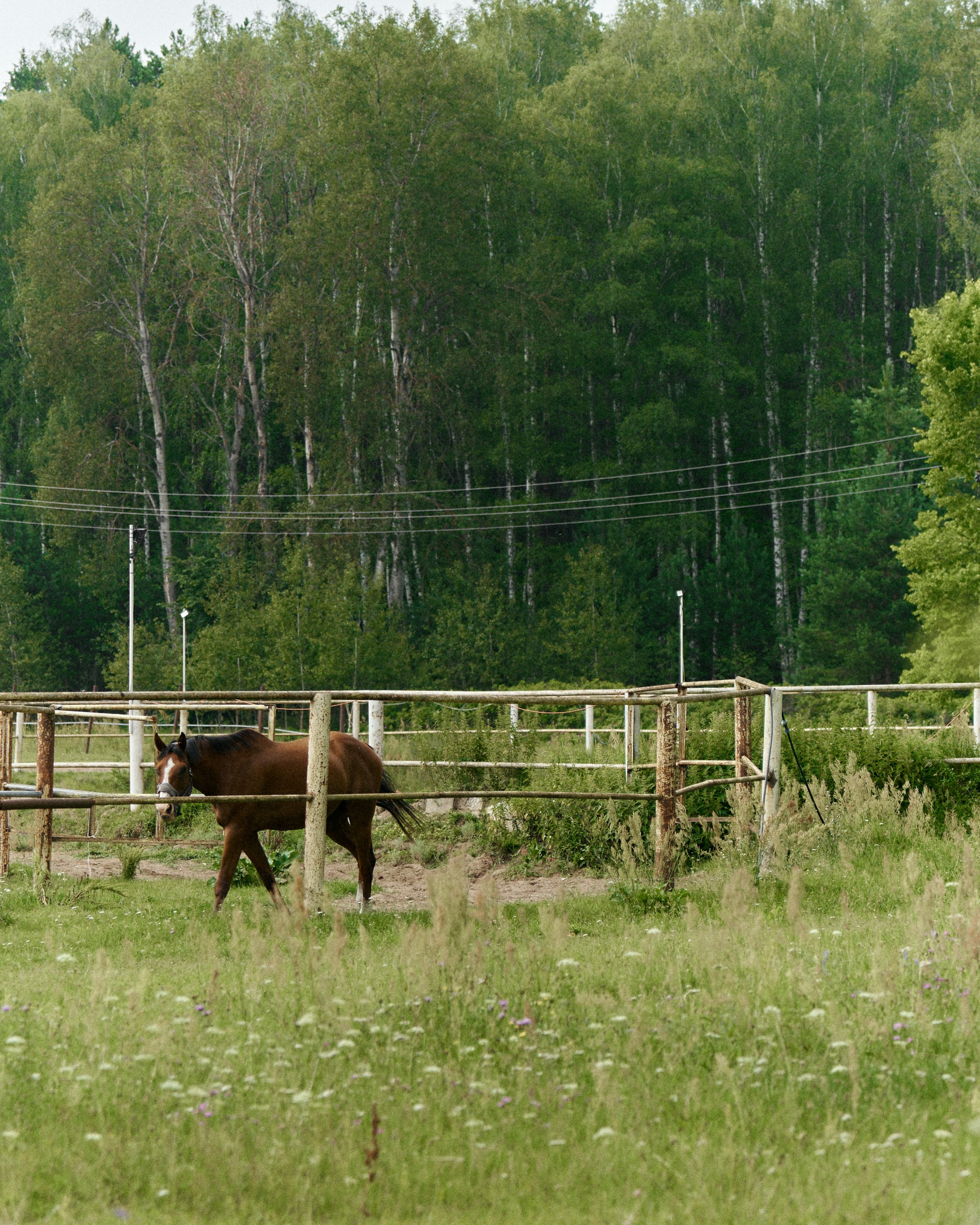 ARTUR & TAISIYA. Свадебный фотограф Жучкова Елизавета в Москве