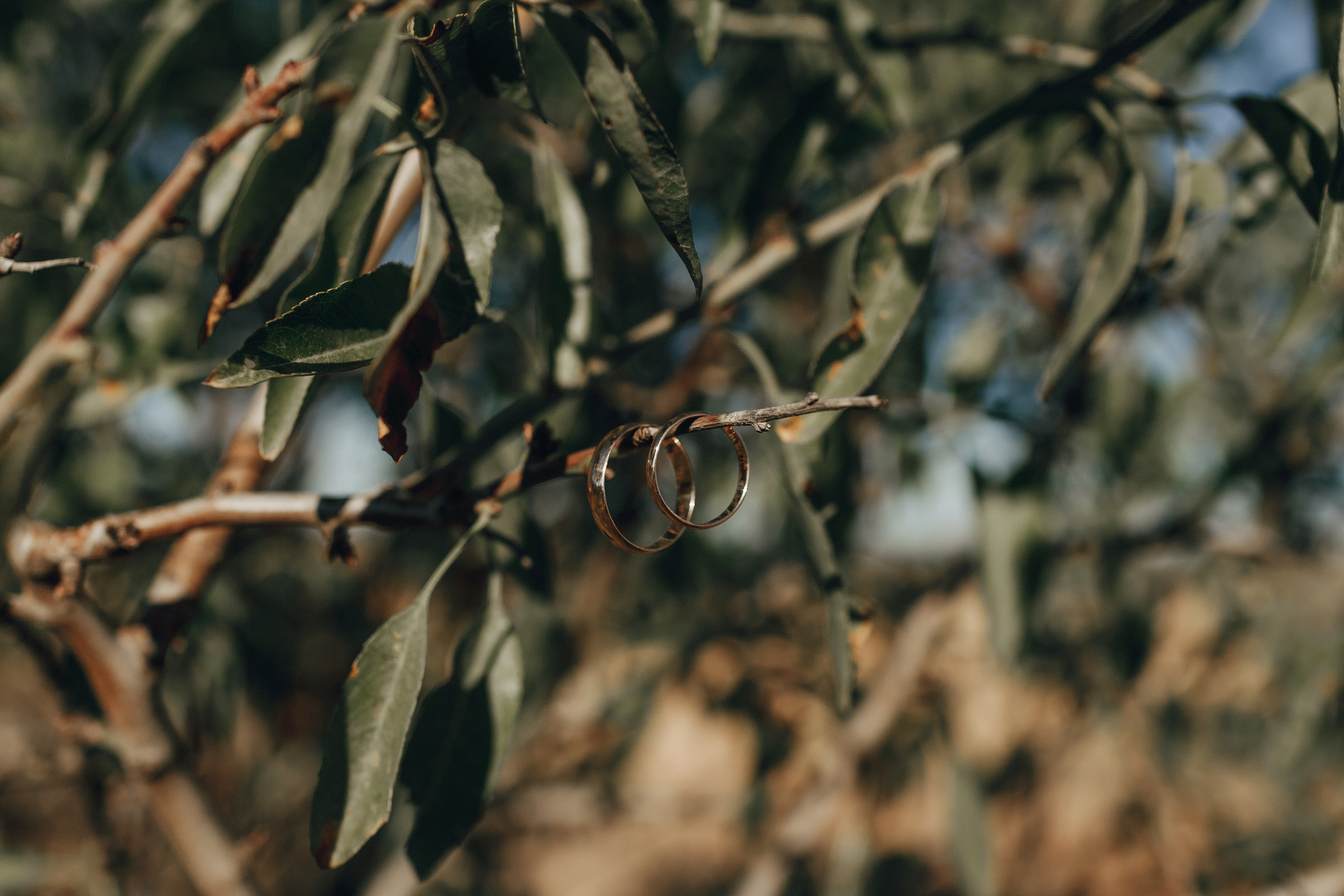Свадьба в Крыму, город Севастополь, мыс Фиолент. Крым фото, отдых Крым, Севастополь фото, Свадьба фото, Олег Горбатко