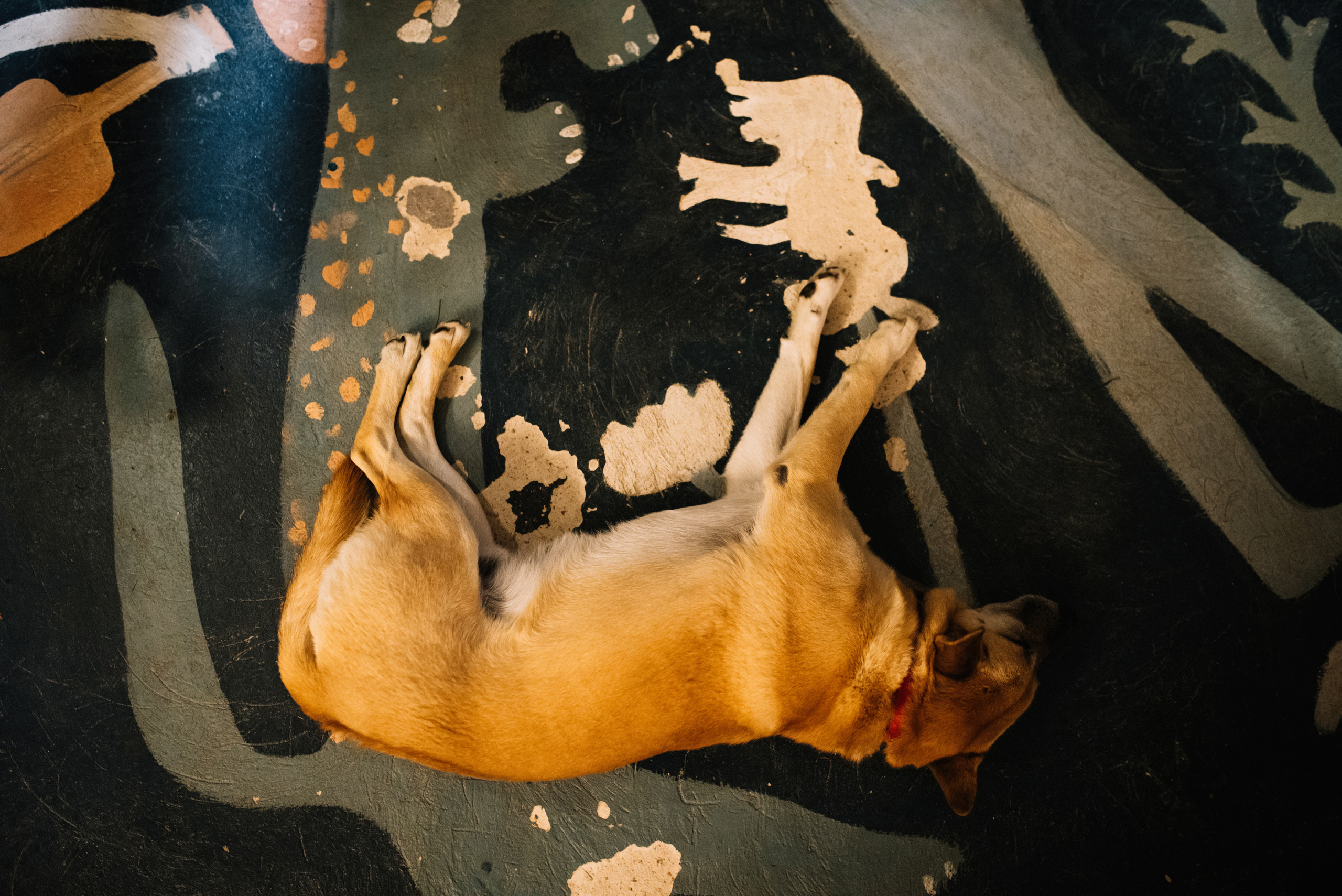 БЕ_МЕ. Свадебный фотограф в Калуге Алексей Климов