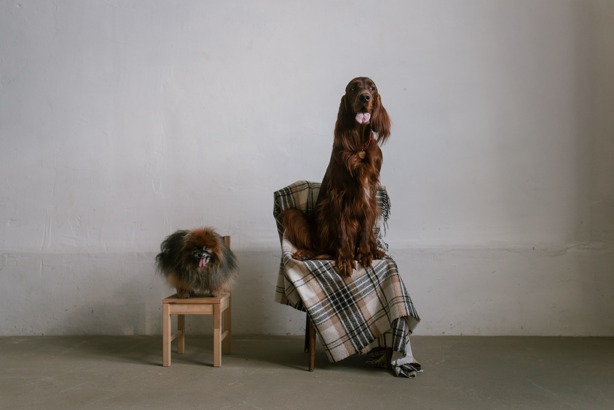 Семья. Фотограф Анна Тюрина